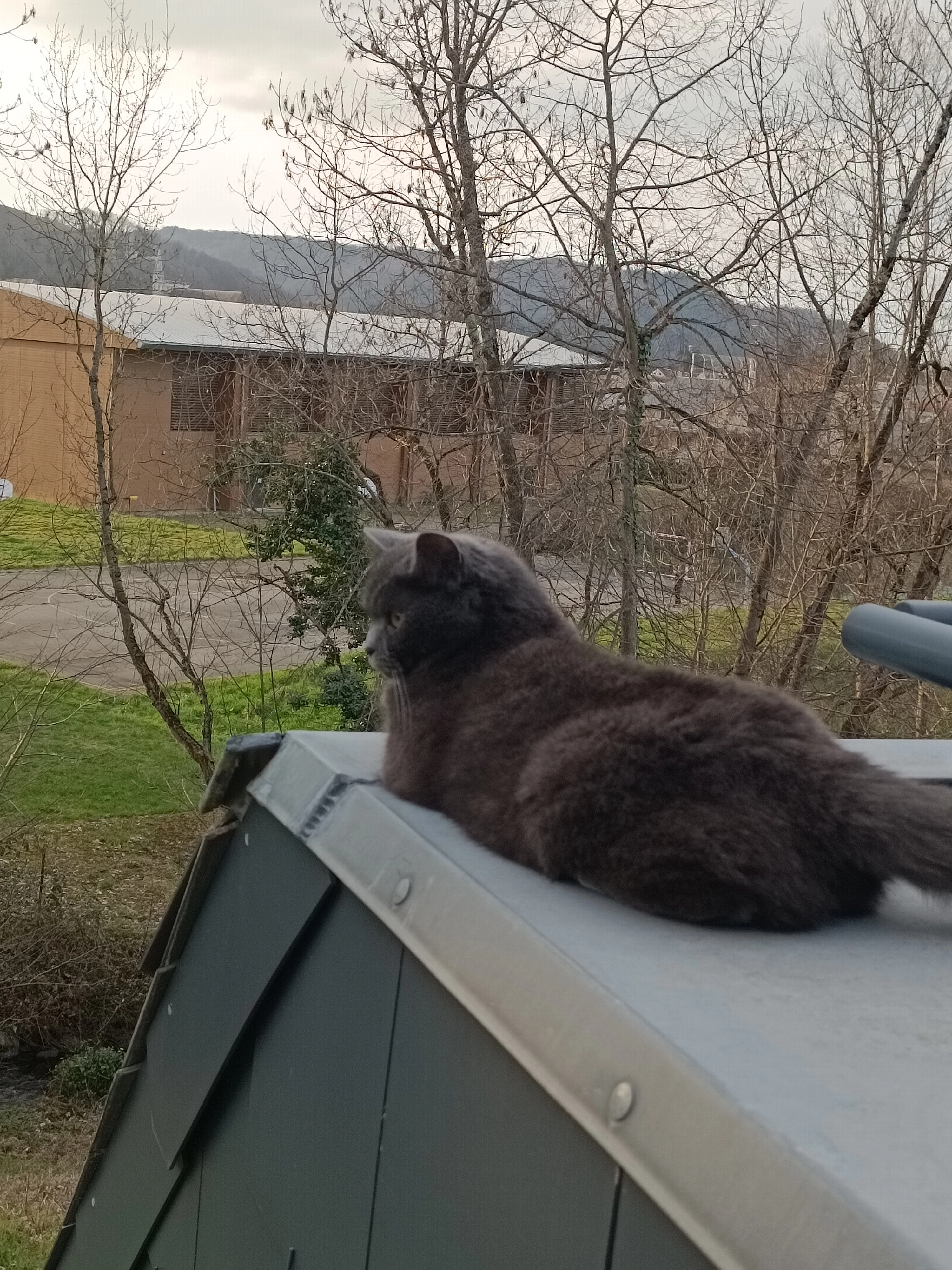 Busya - La Platte, Stoumont