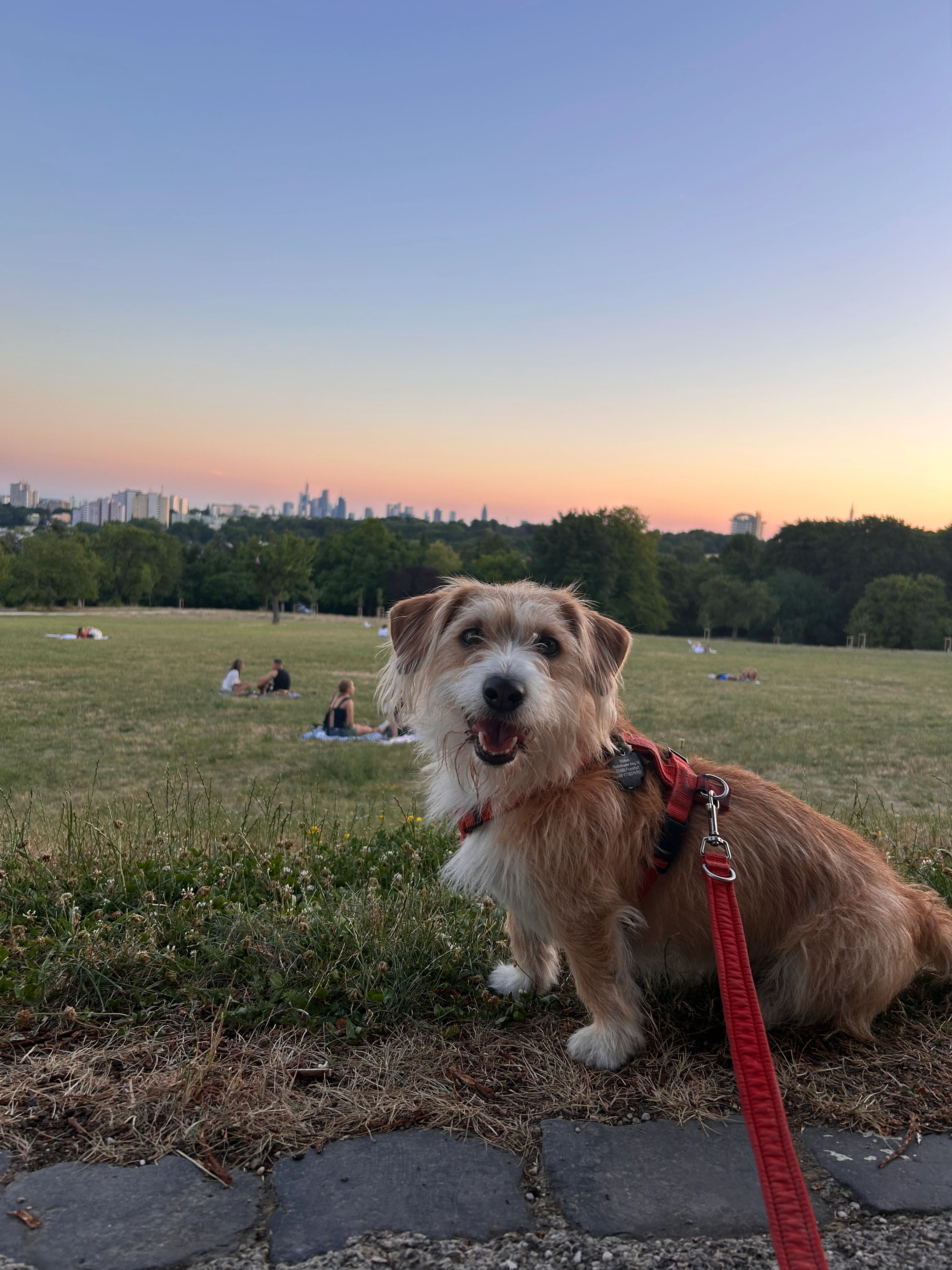 Tito  - Leonhard-Heißwolf-Straße, Frankfurt am Main