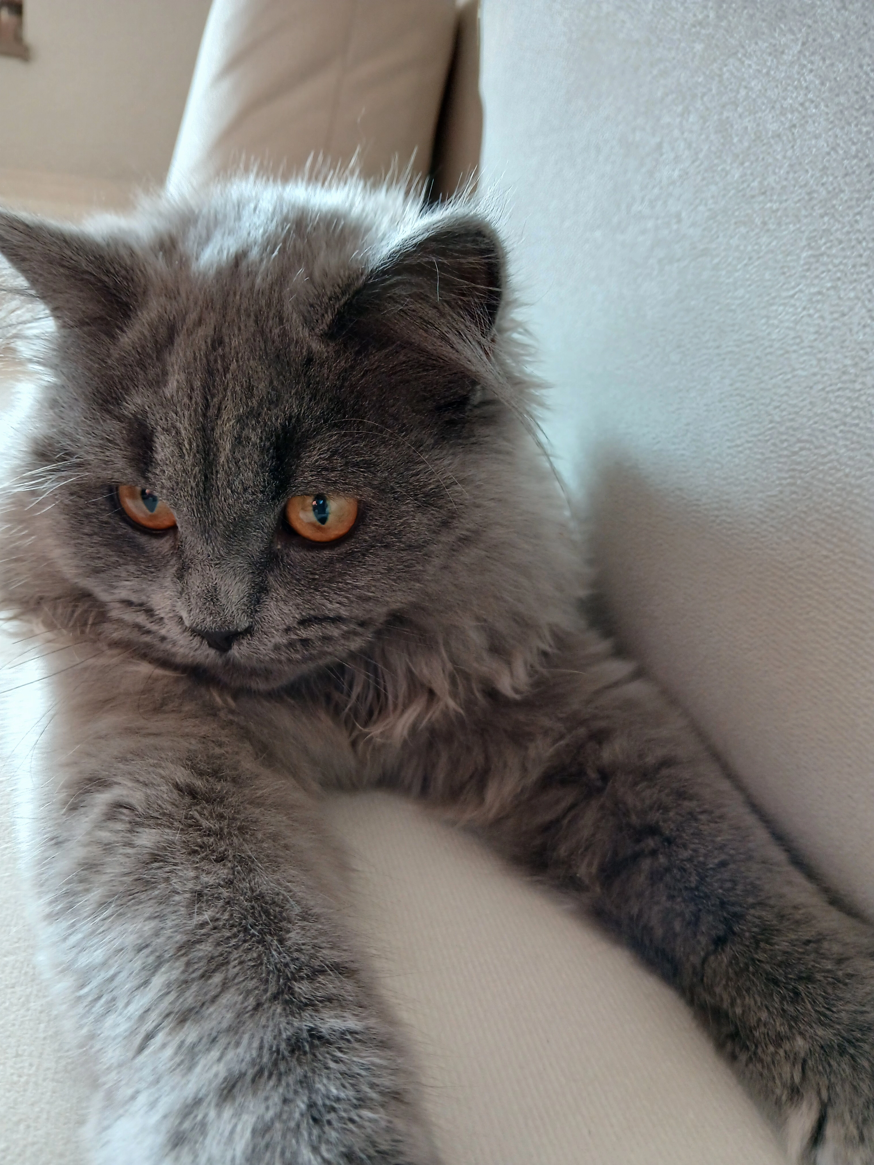 Nilo - Schäfferstraße, Bautzen