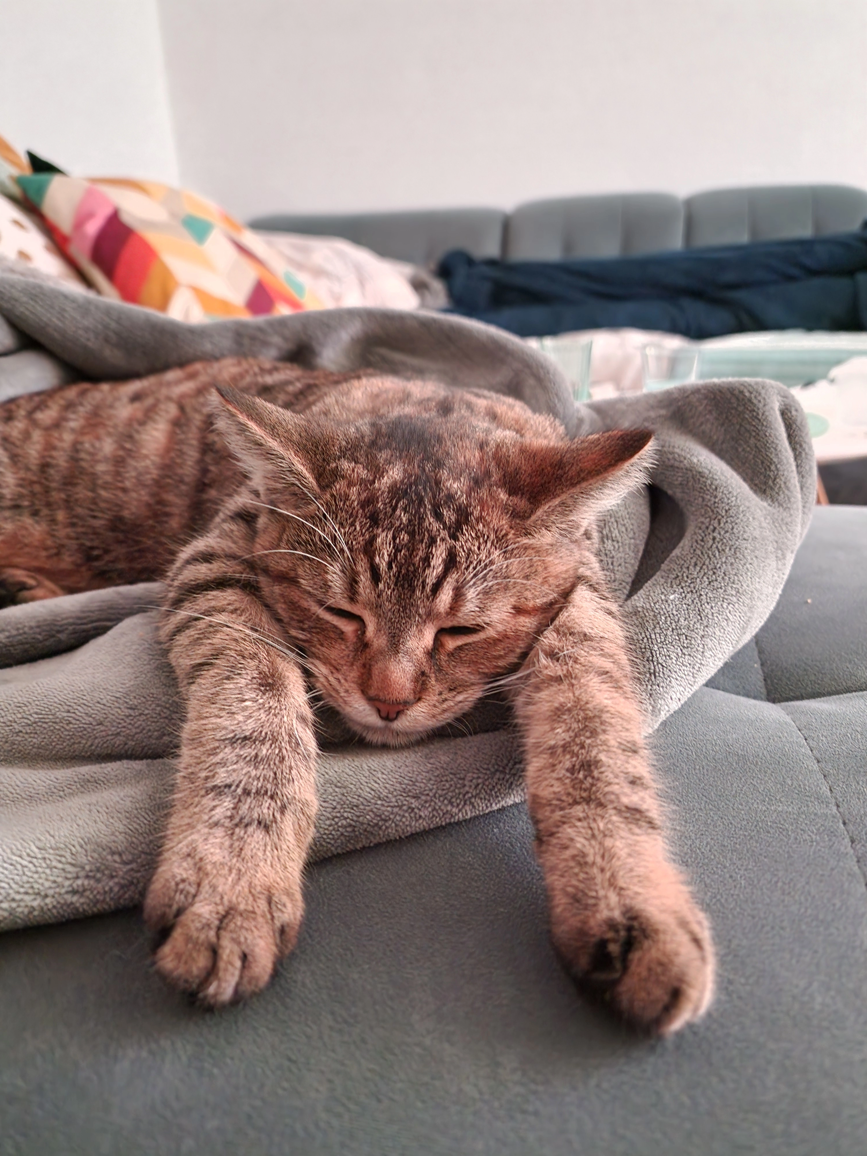 Lana - Millöckerstraße, Pfedelbach