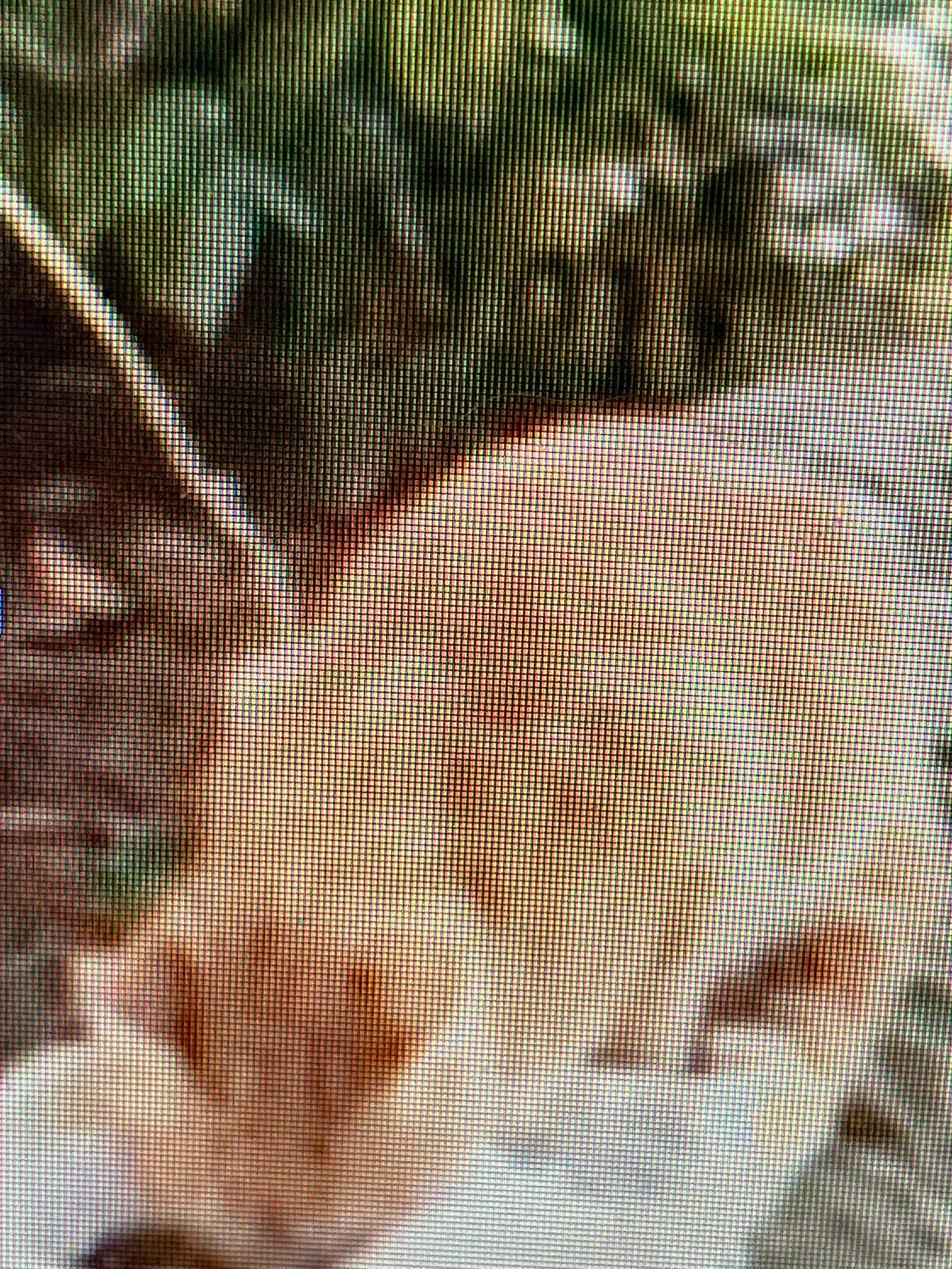 Tigrou - 9 Avenue de Poitiers, La Ferrière-en-Parthenay