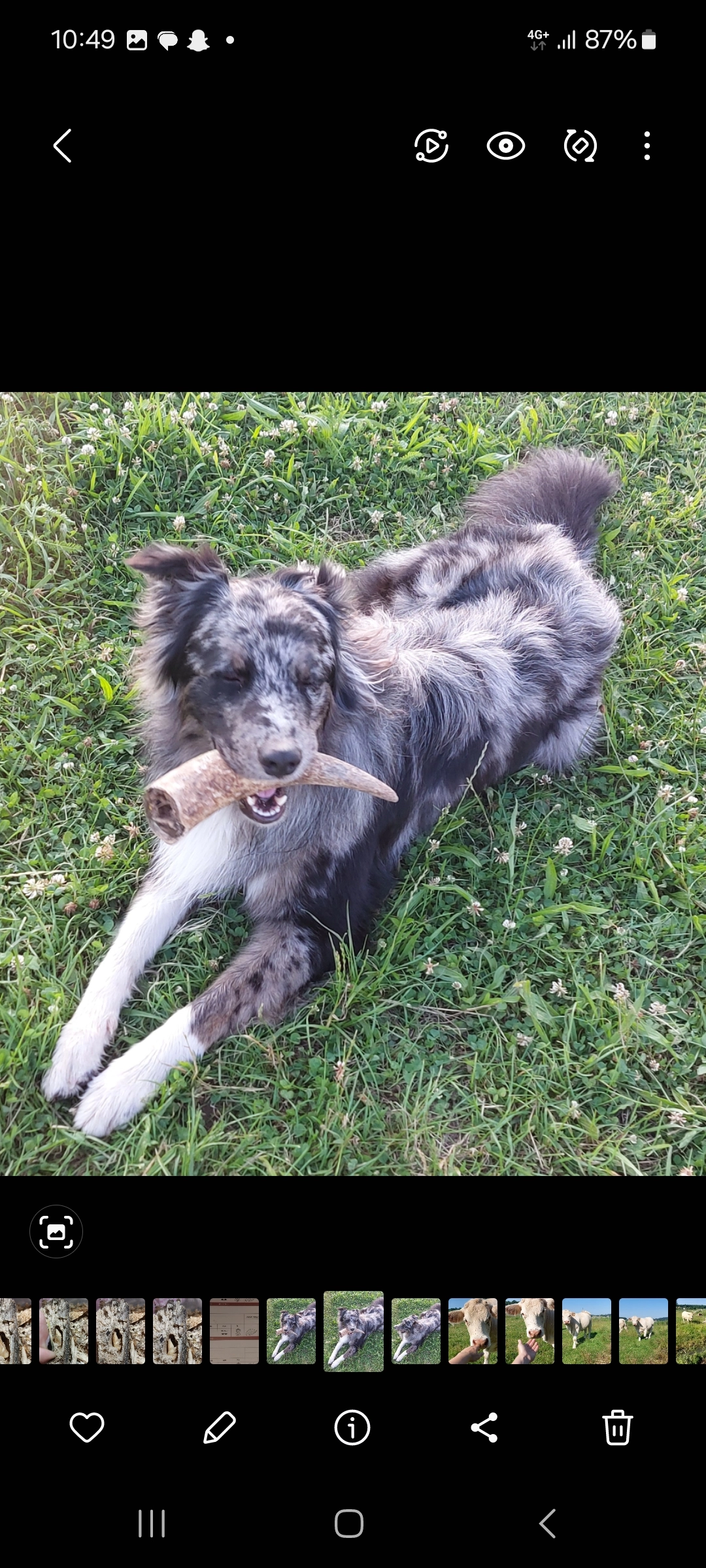 Likane - Rue Ollivier Provost, Hillion