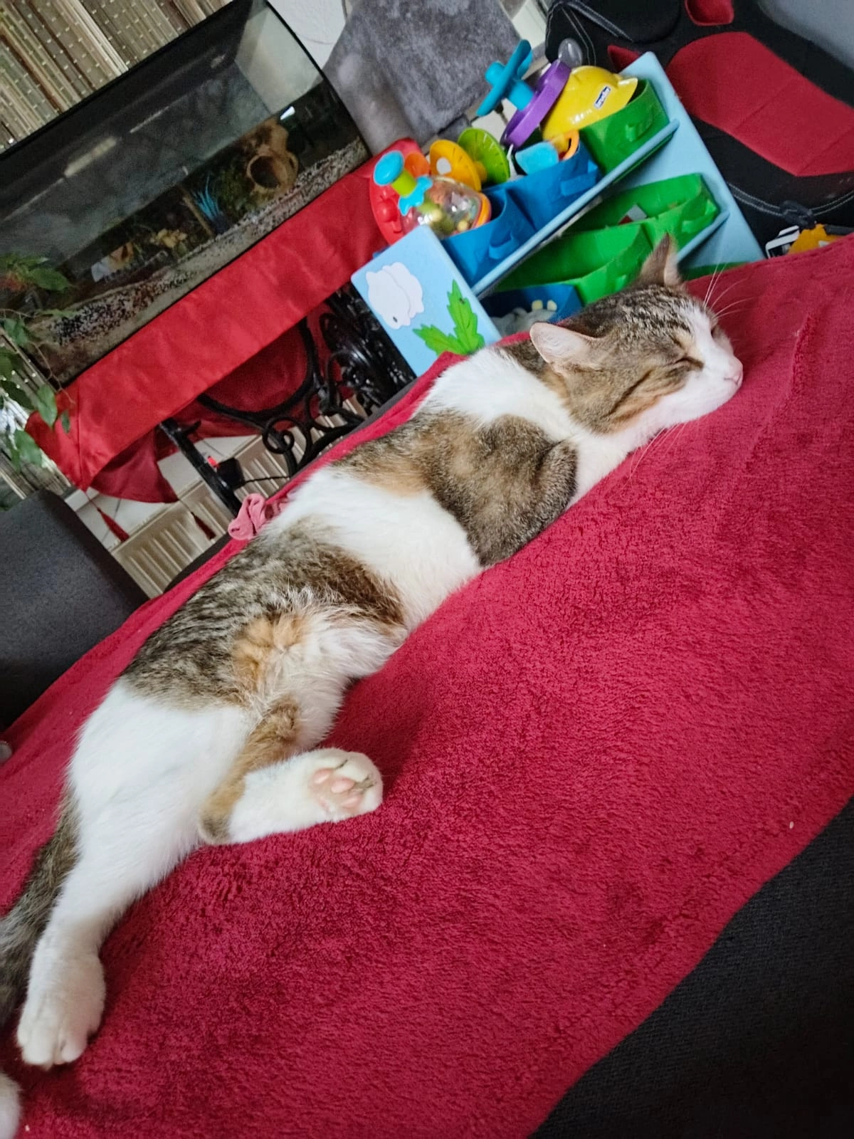 Pauli - Magersdorf, Sankt Andrä