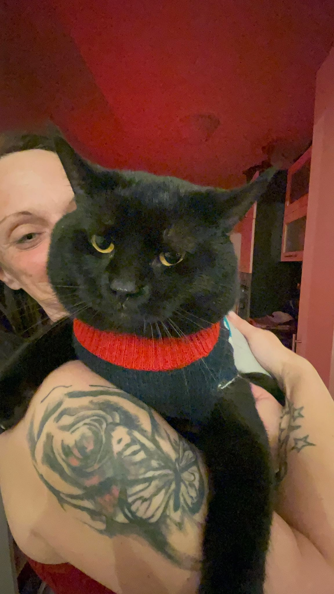 Mikey - Fohlenweide, Leegebruch