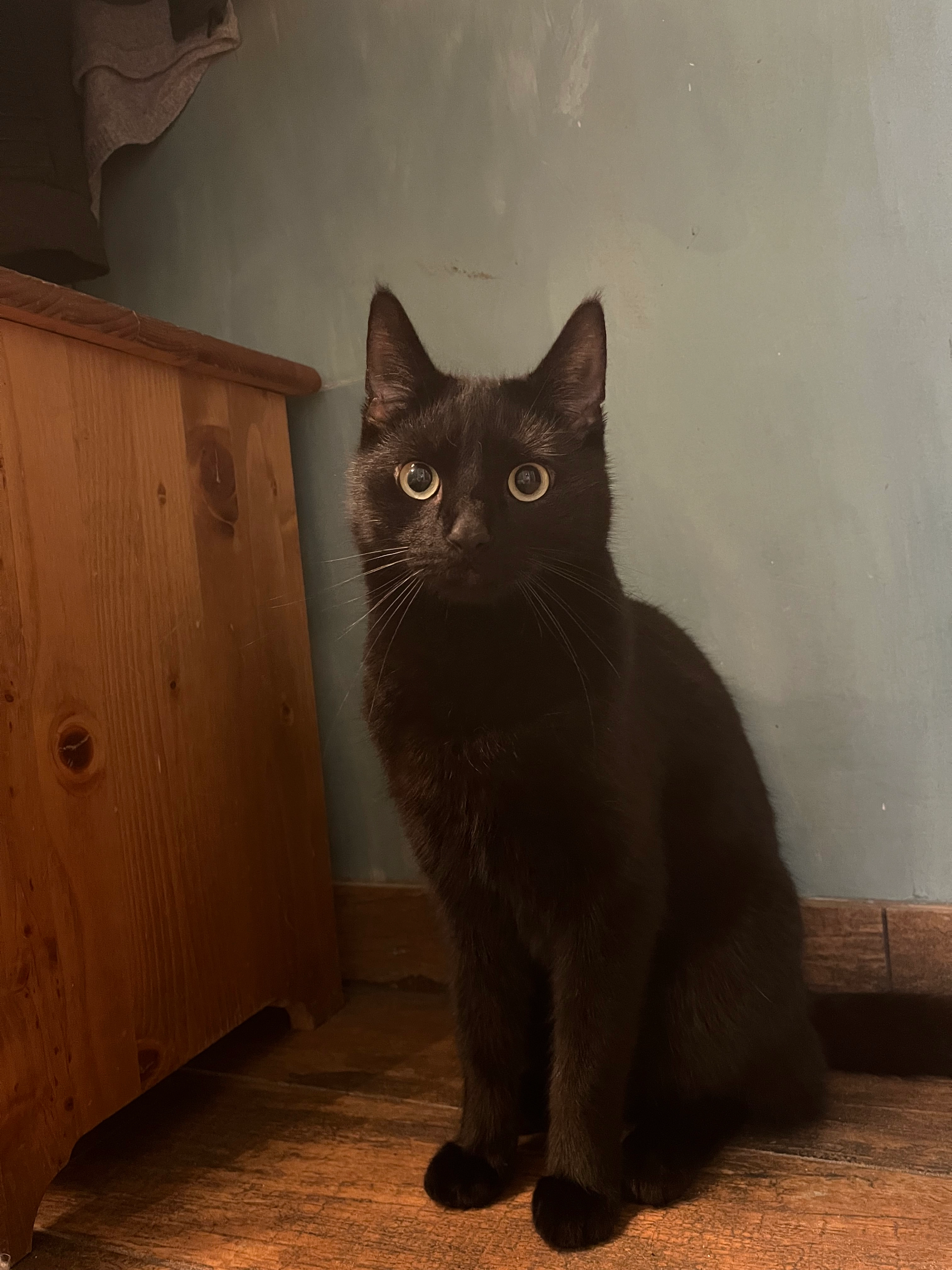 Petrie - Lubolzer Dorfstraße, Lübben