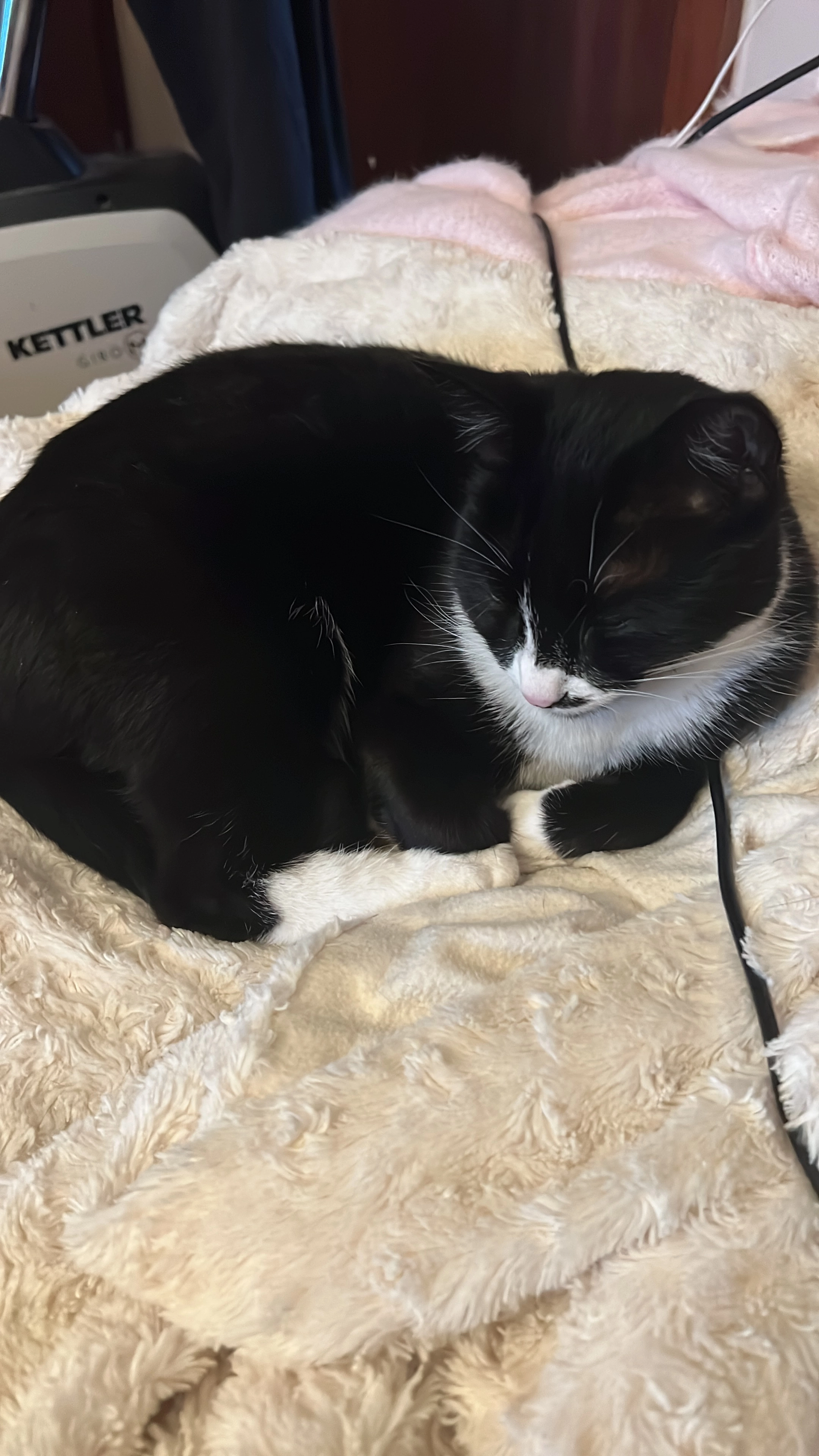 Nala - Feldbergstraße, Trebur