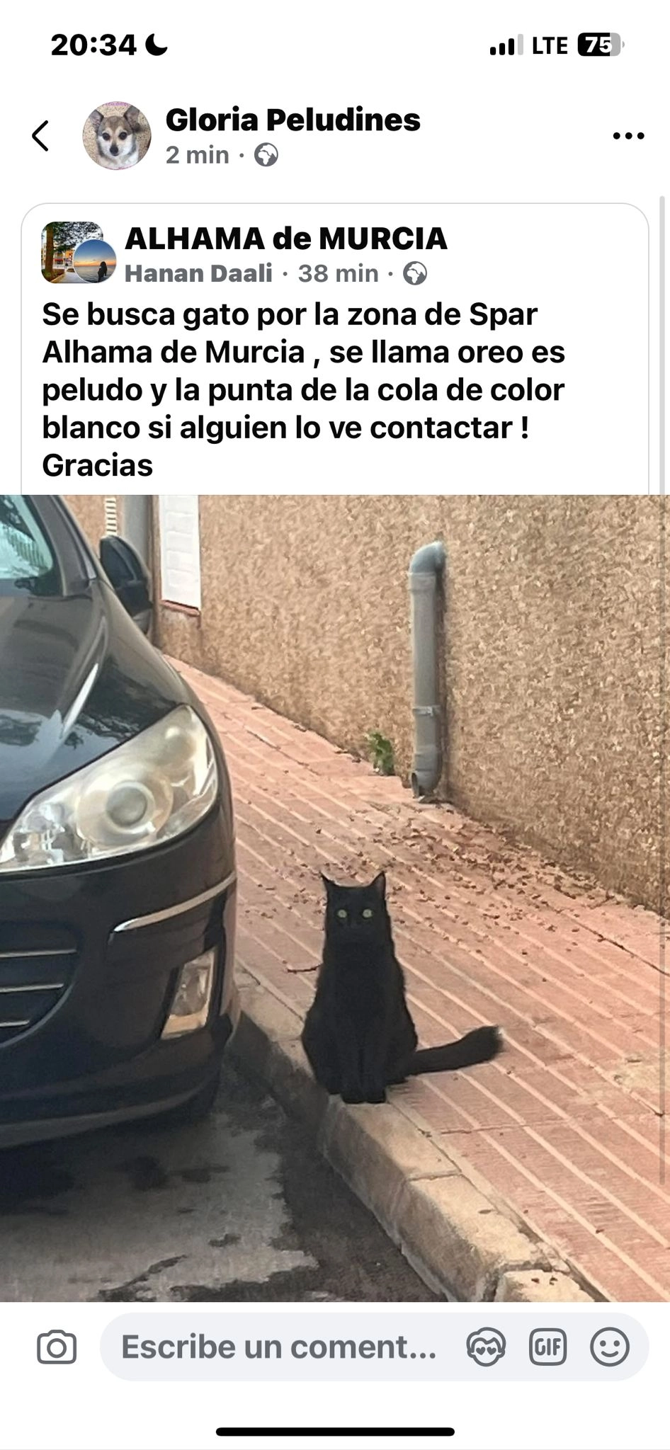 Oreo - Calle de Balmes, Alhama de Murcia