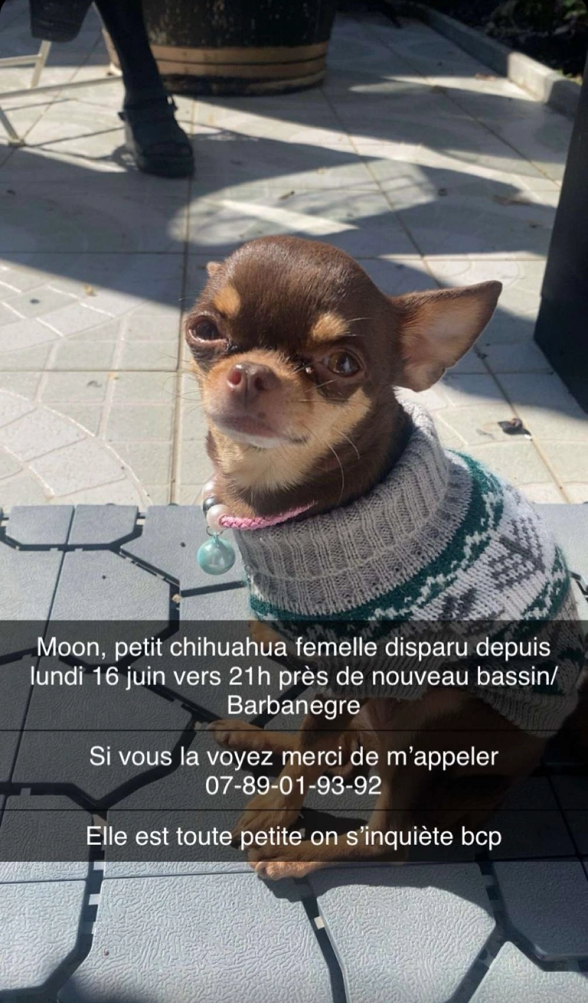 Moon - Allée Nathan Katz, Mulhouse