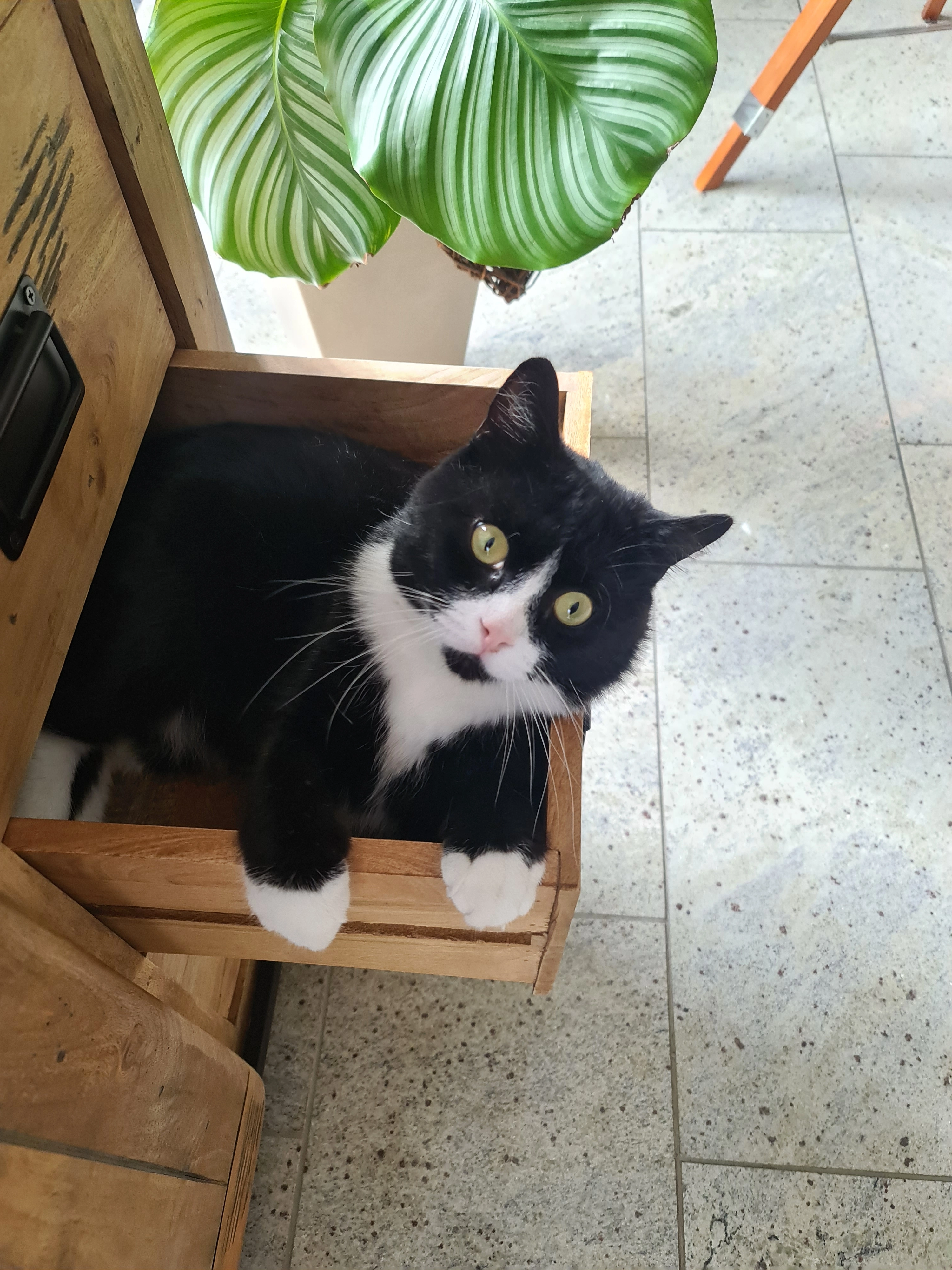 Lui - Lanfermannteich, Bergkamen