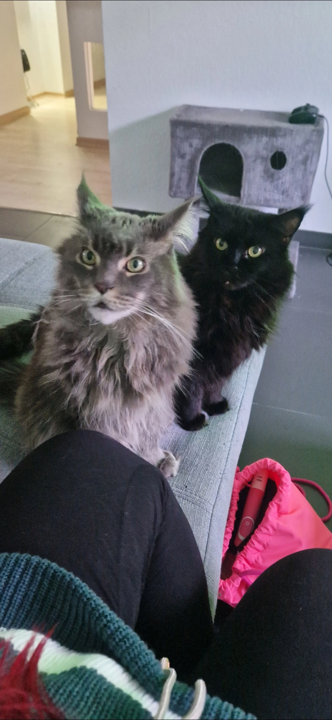 Bonnie - Saarstraße, Merzig