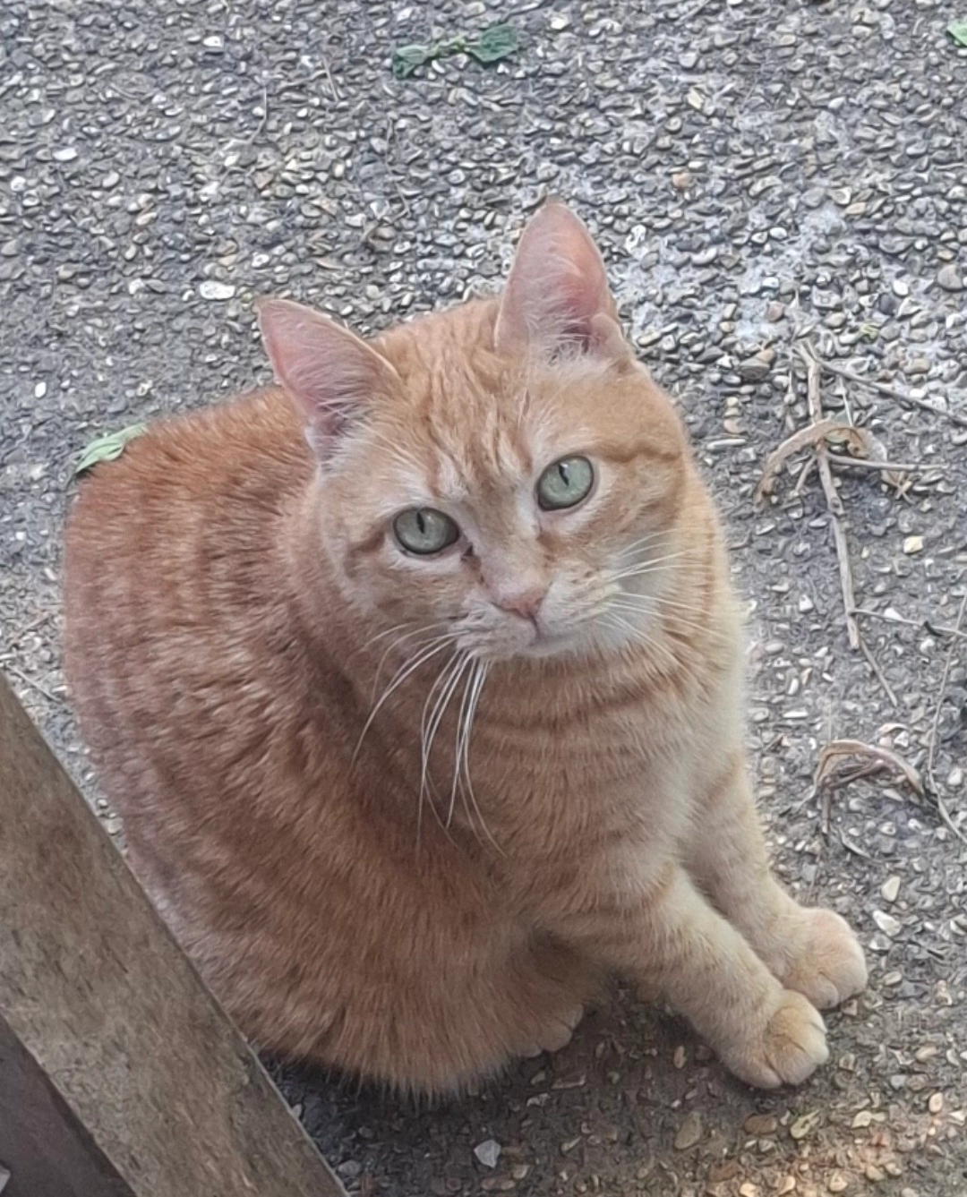 Yuri - Sente d'Atalante, Compiègne