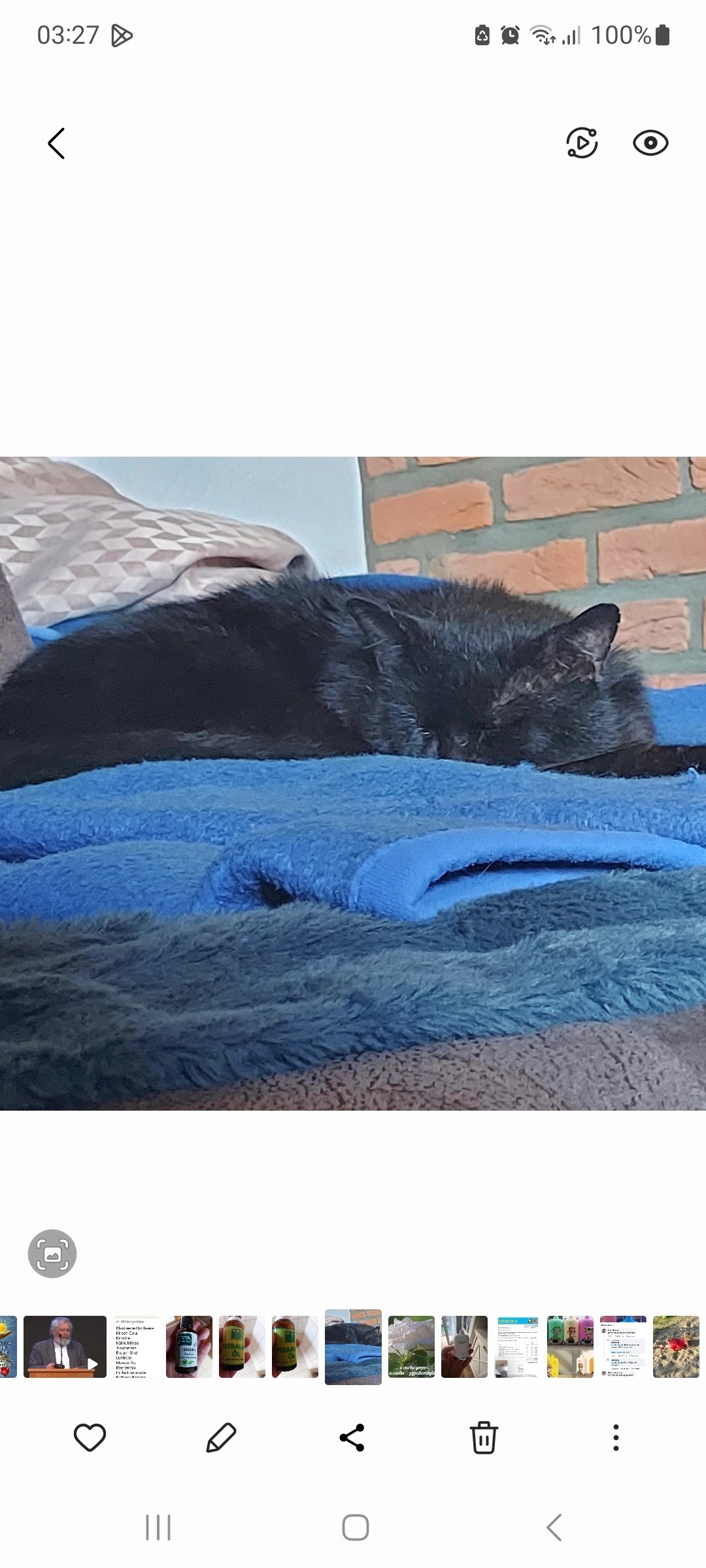 Zeser - Borker Landweg, Selm