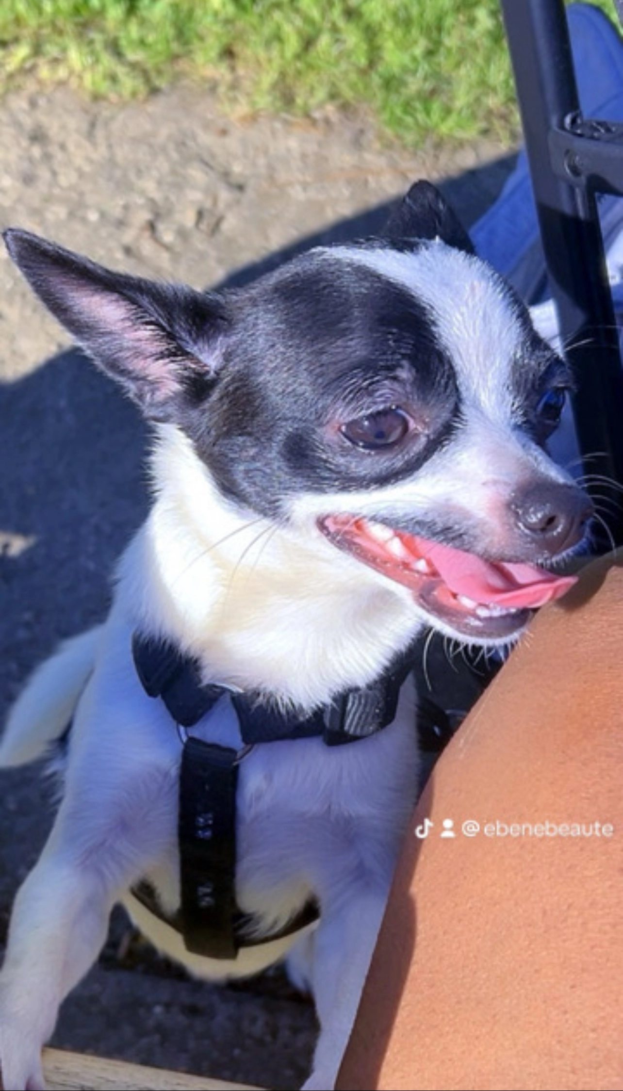 Voce - 24 Rue Charles de Gaulle, Saint-Étienne