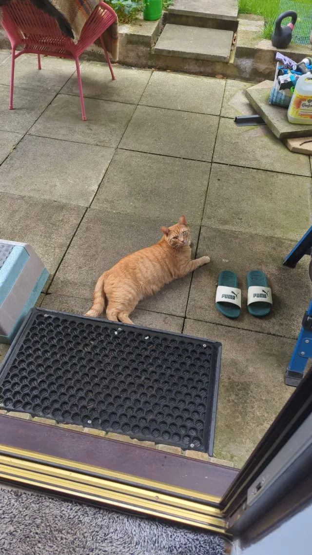 Johny - Park Road, Beckenham