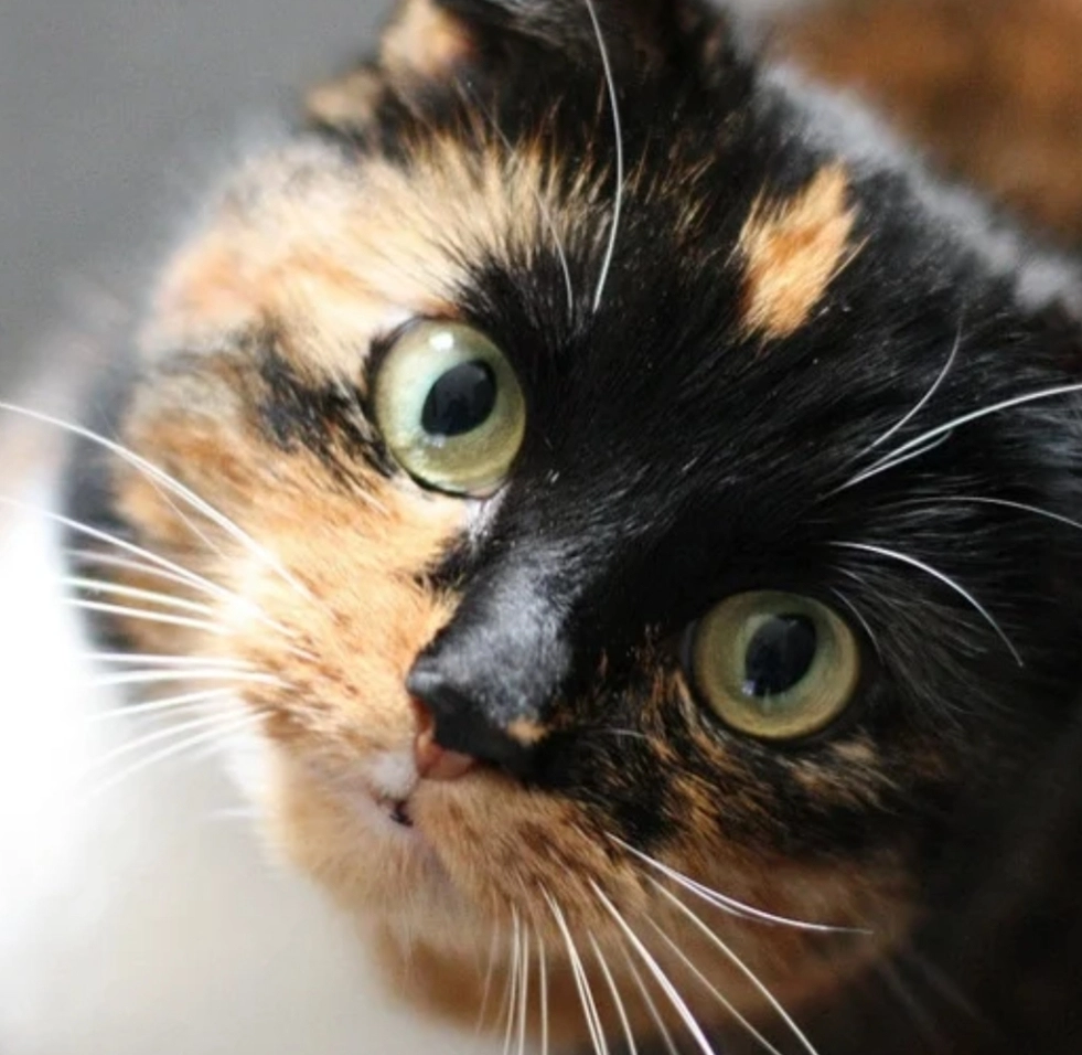 Zigoto - Route de Marseille, Aix-en-Provence