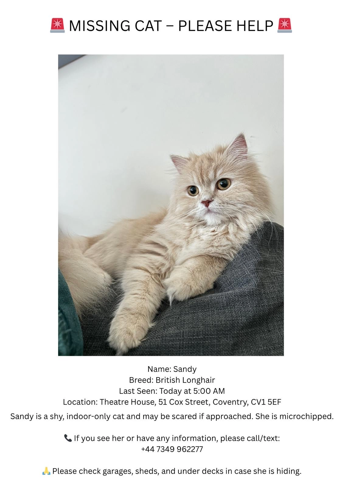 Sandy - CV1 5, Coventry