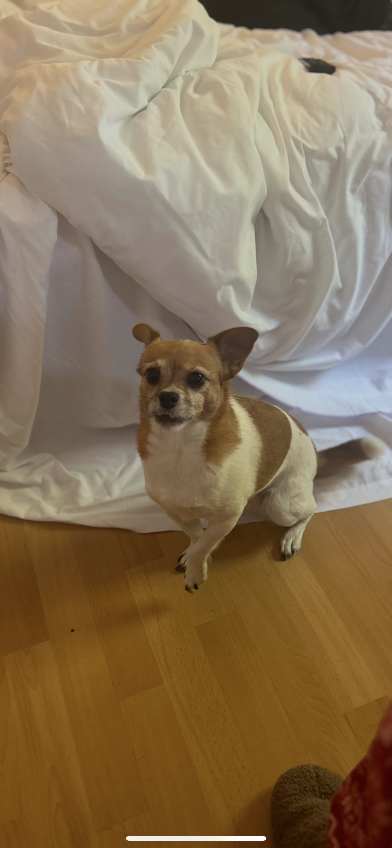 Nala - Hubring 54, Bassersdorf