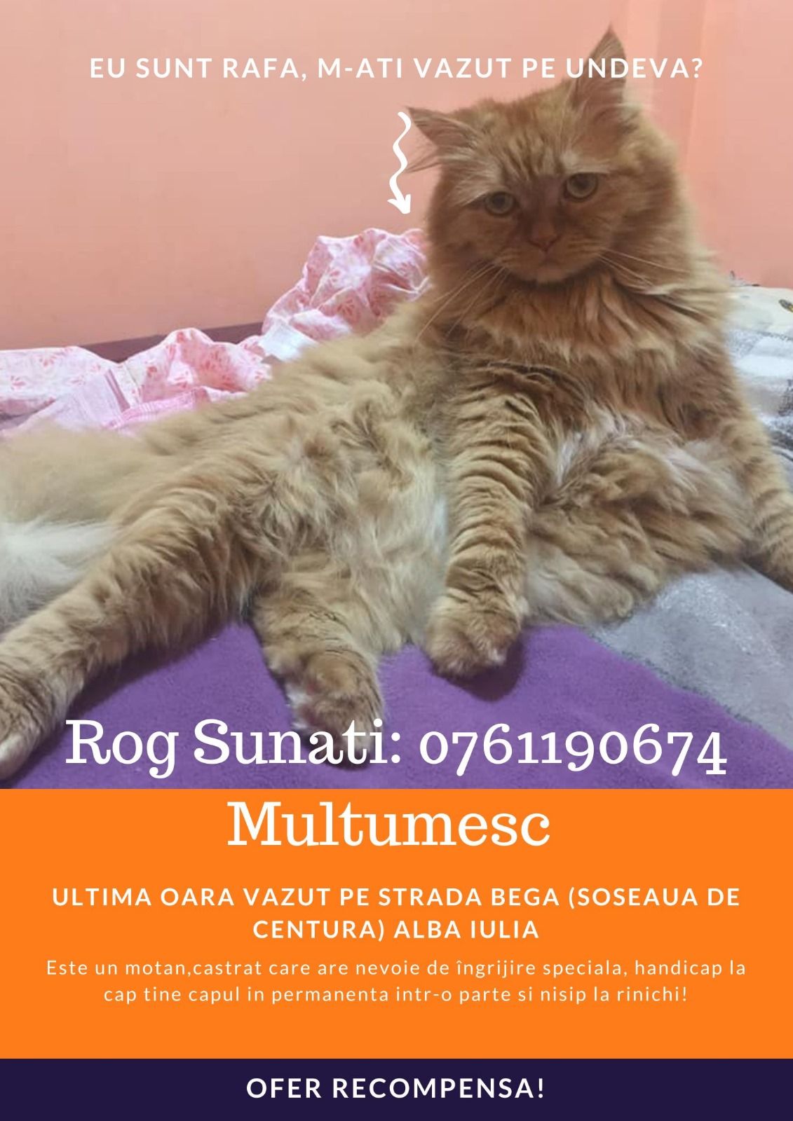 Rafa - Strada Bega, Alba Iulia