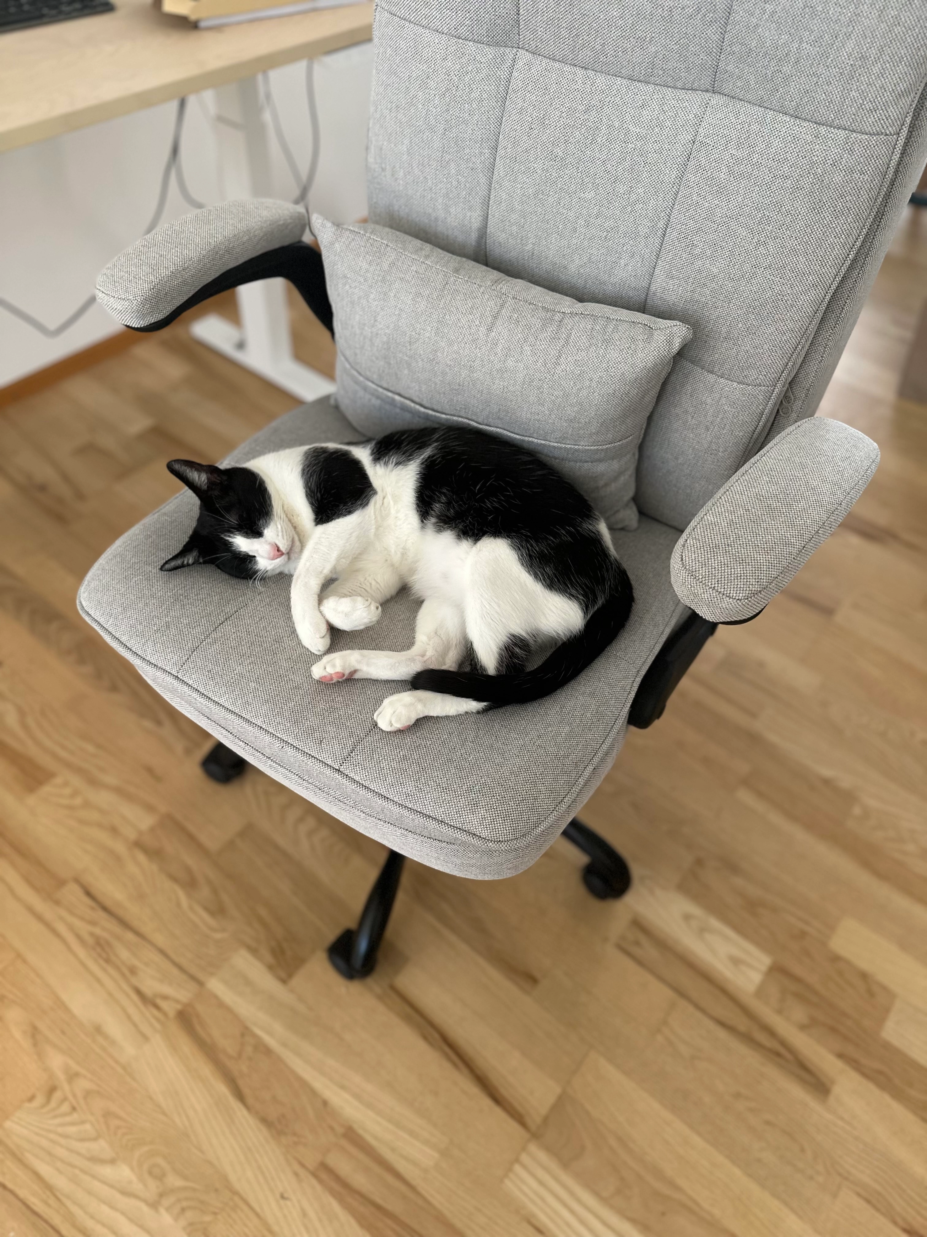 Rollo - Peter Holms Vej 2, København SV