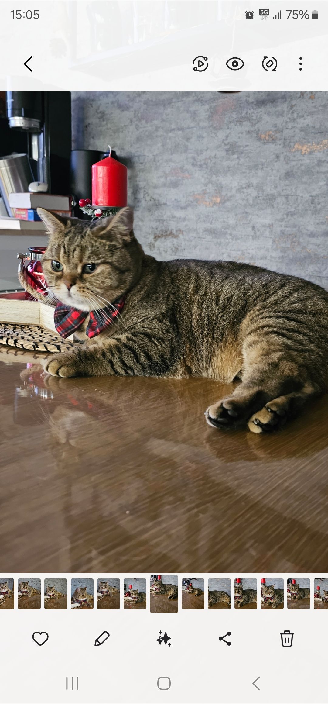 Lilly - Friesenstraße, Papenburg