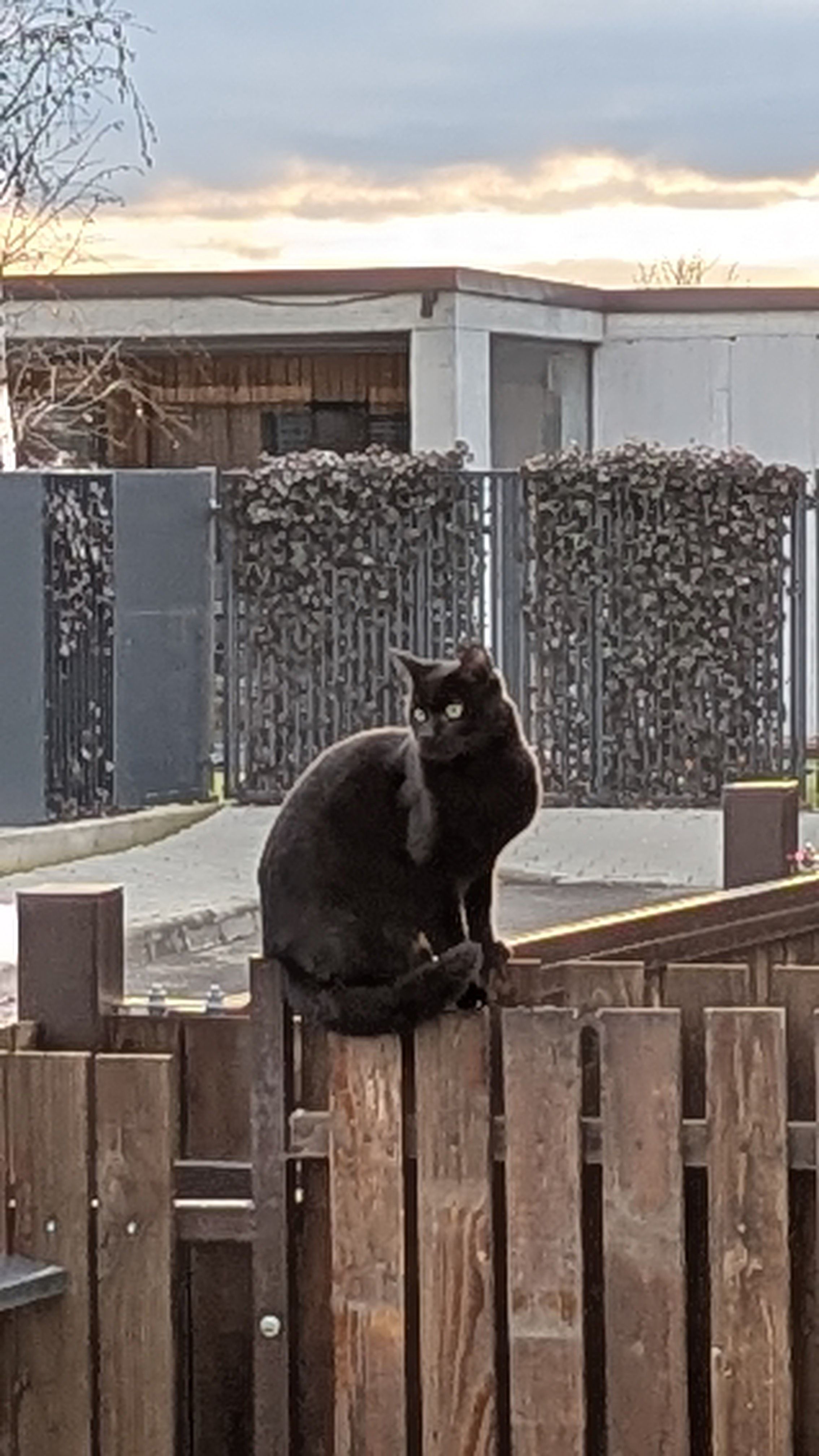 Mau - Strada Viile Dâmbul Rotund, Cluj
