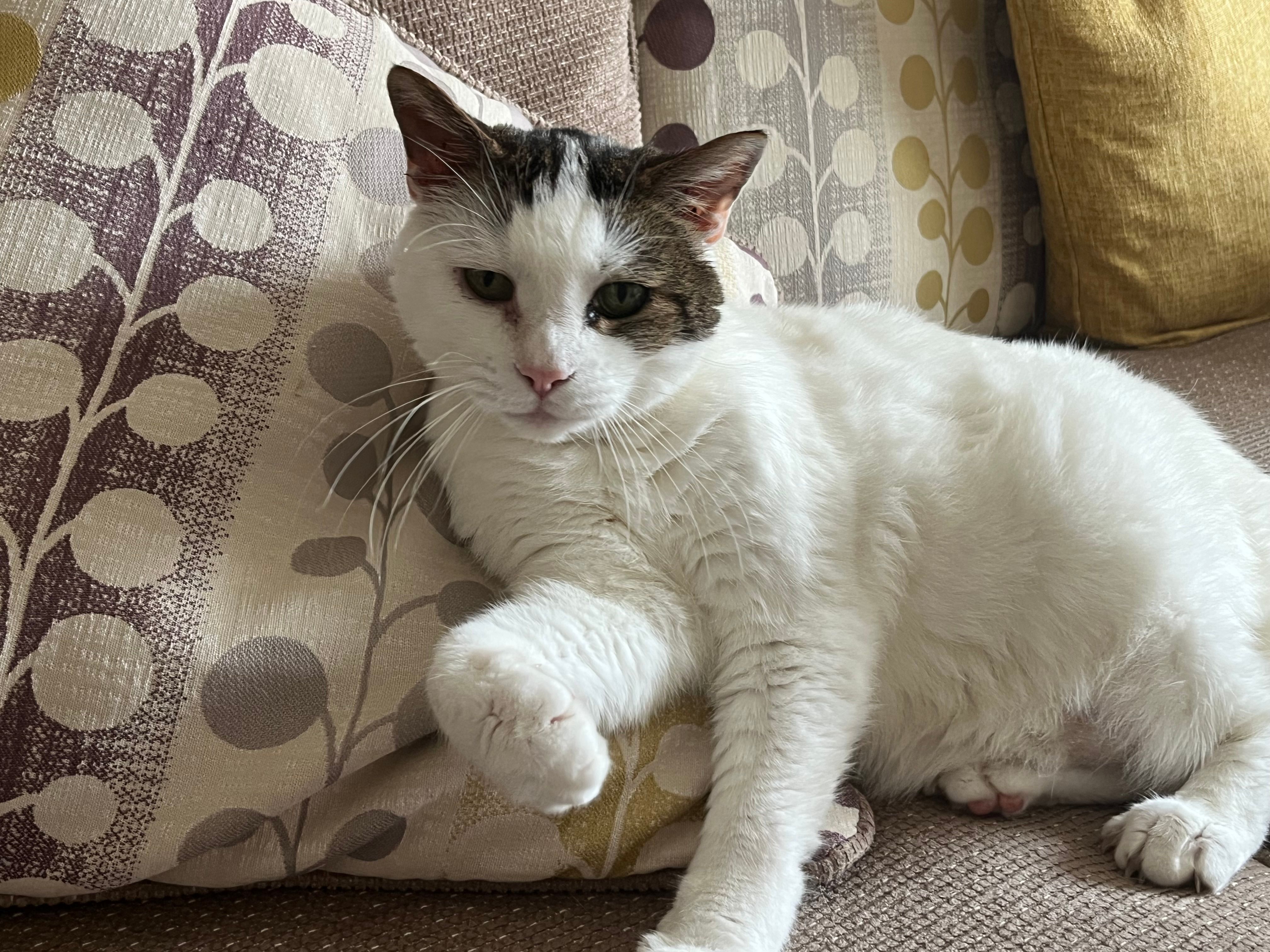 Percie - Tipton Close, Dereham