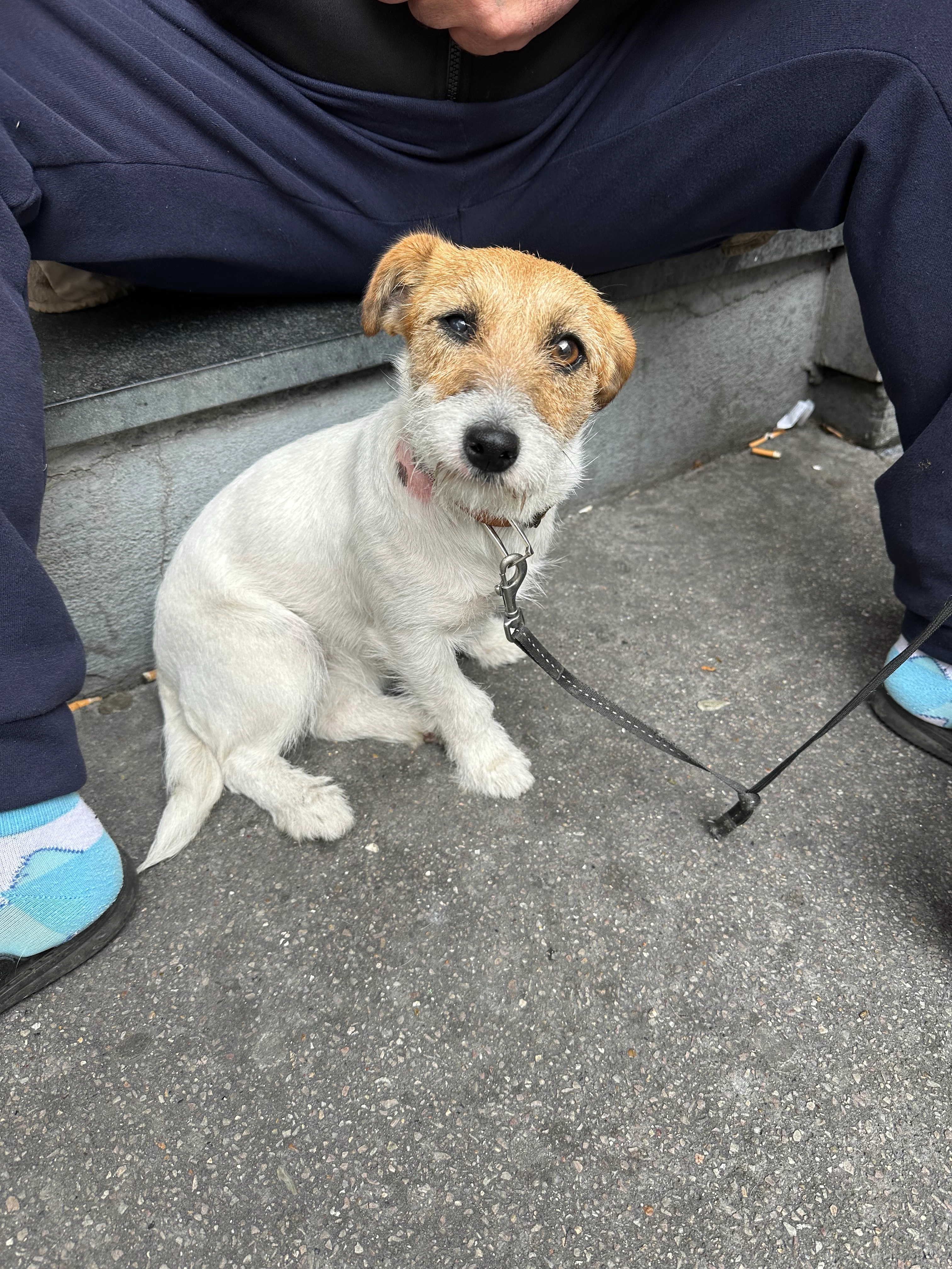 Reia - La Courneuve, La Courneuve