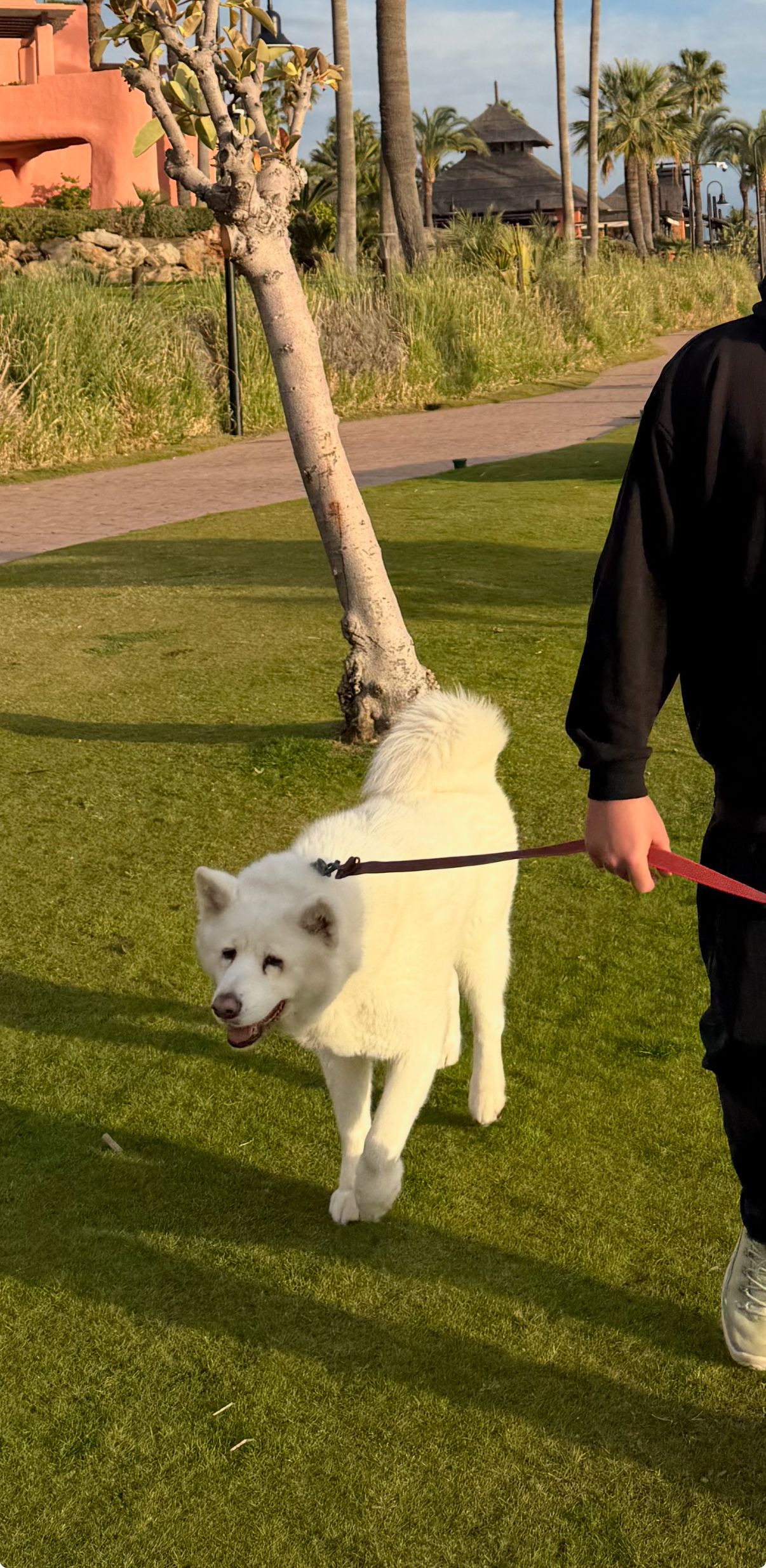 Leo - Autovía Del Mediterráneo, Estepona