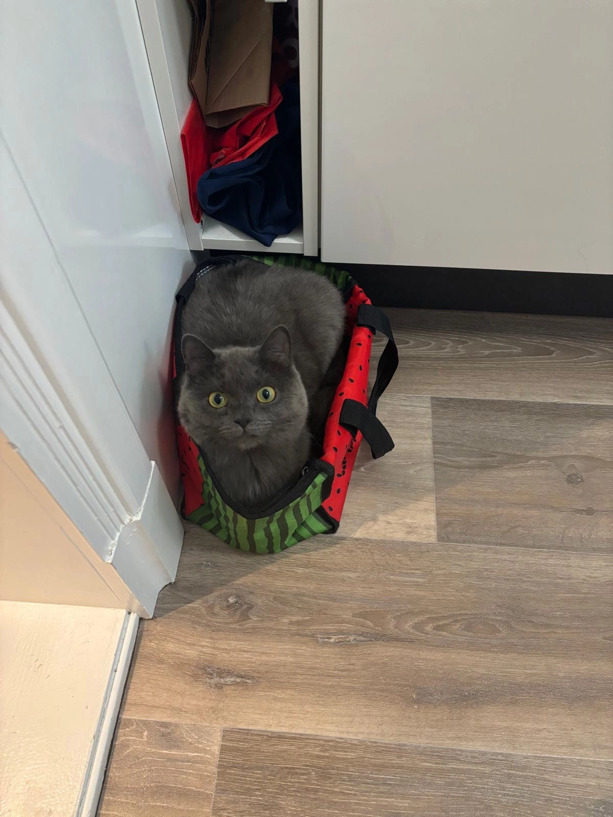 Perle - Rathenauplatz, Halle