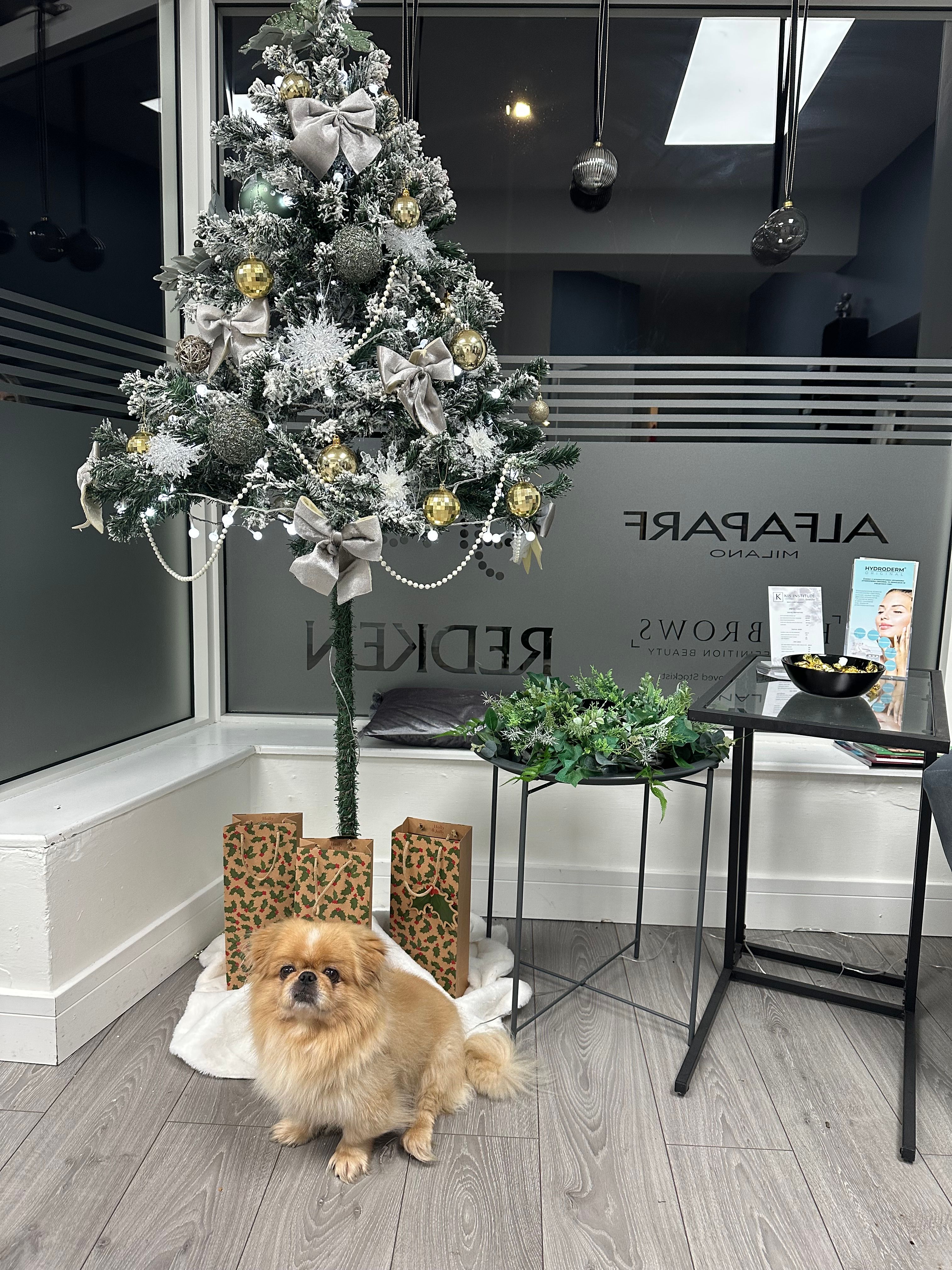 Cookie - Birchwood Road, Nottingham