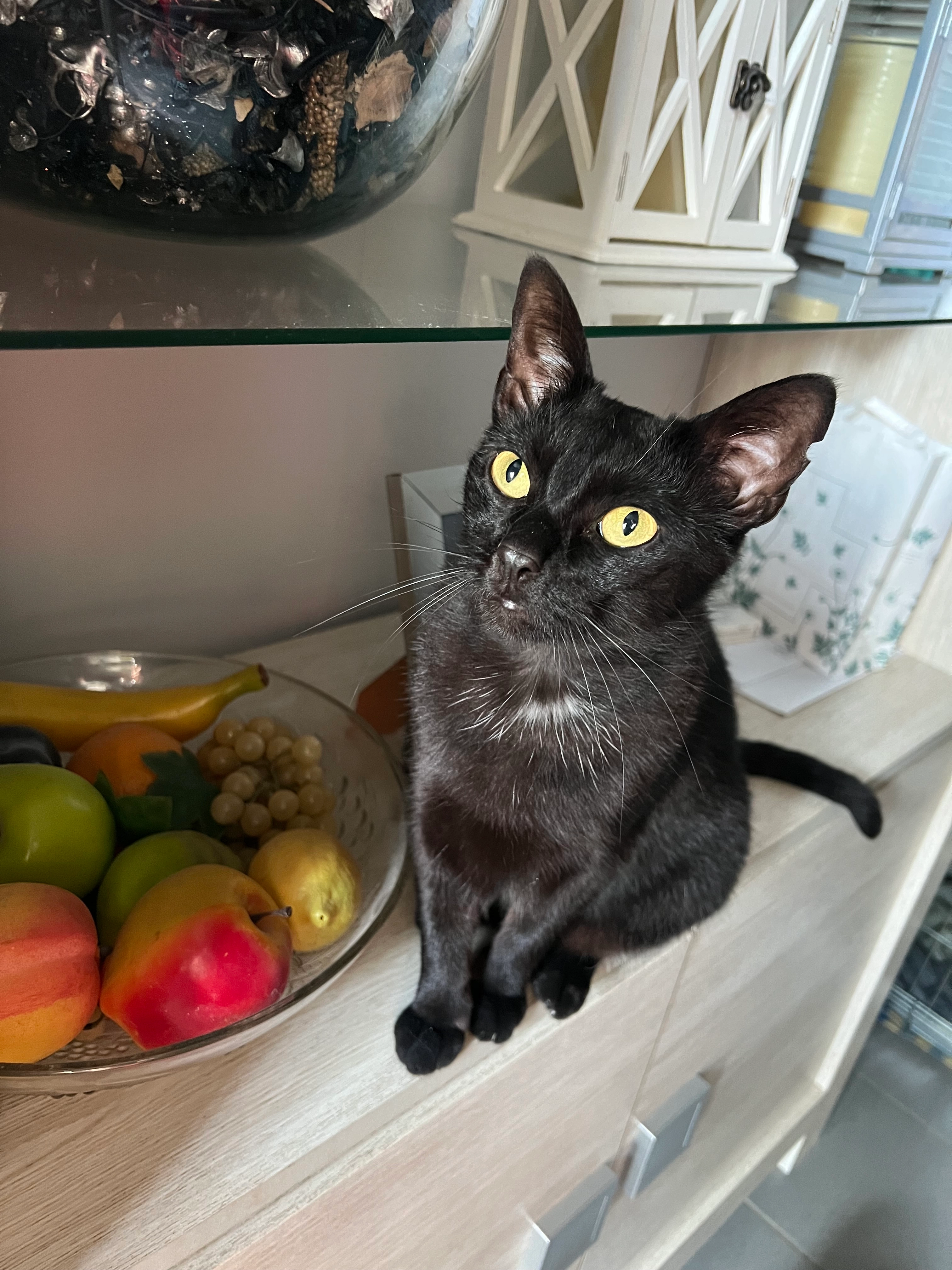 Milou - Tuinwijkstraat, Geetbets