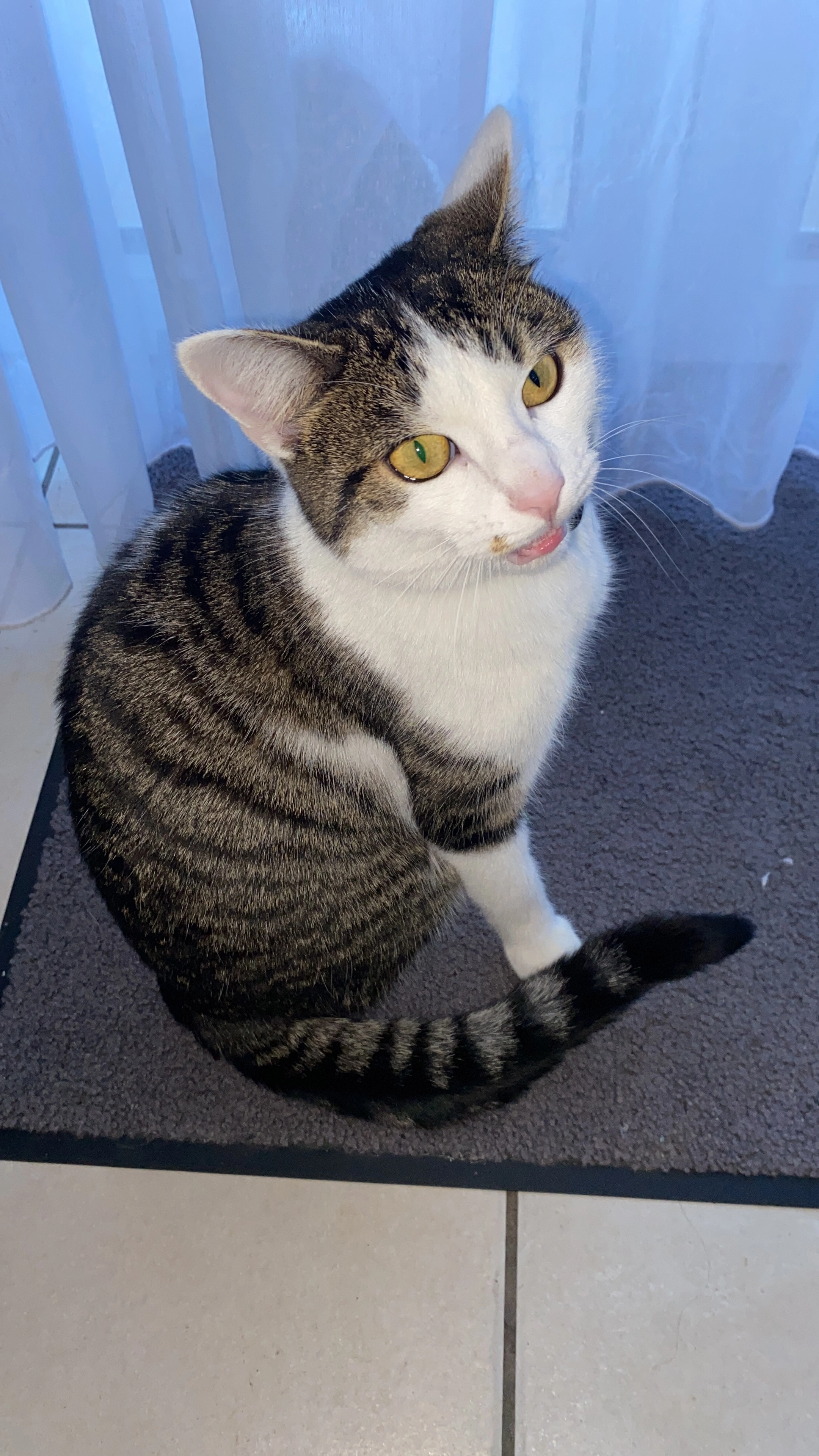 Spike - Route D'arnier, Belmont-sur-Lausanne