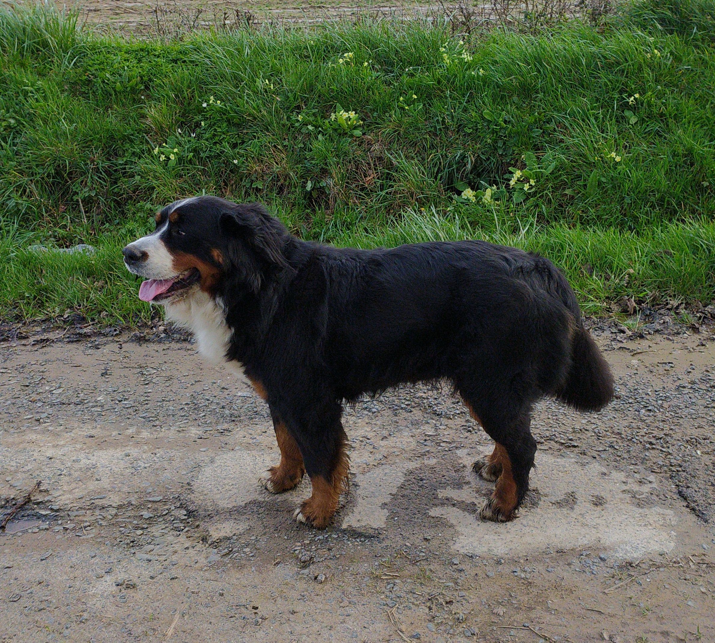 Tricky - Rue De Vaux-Sur-Aure, Bayeux
