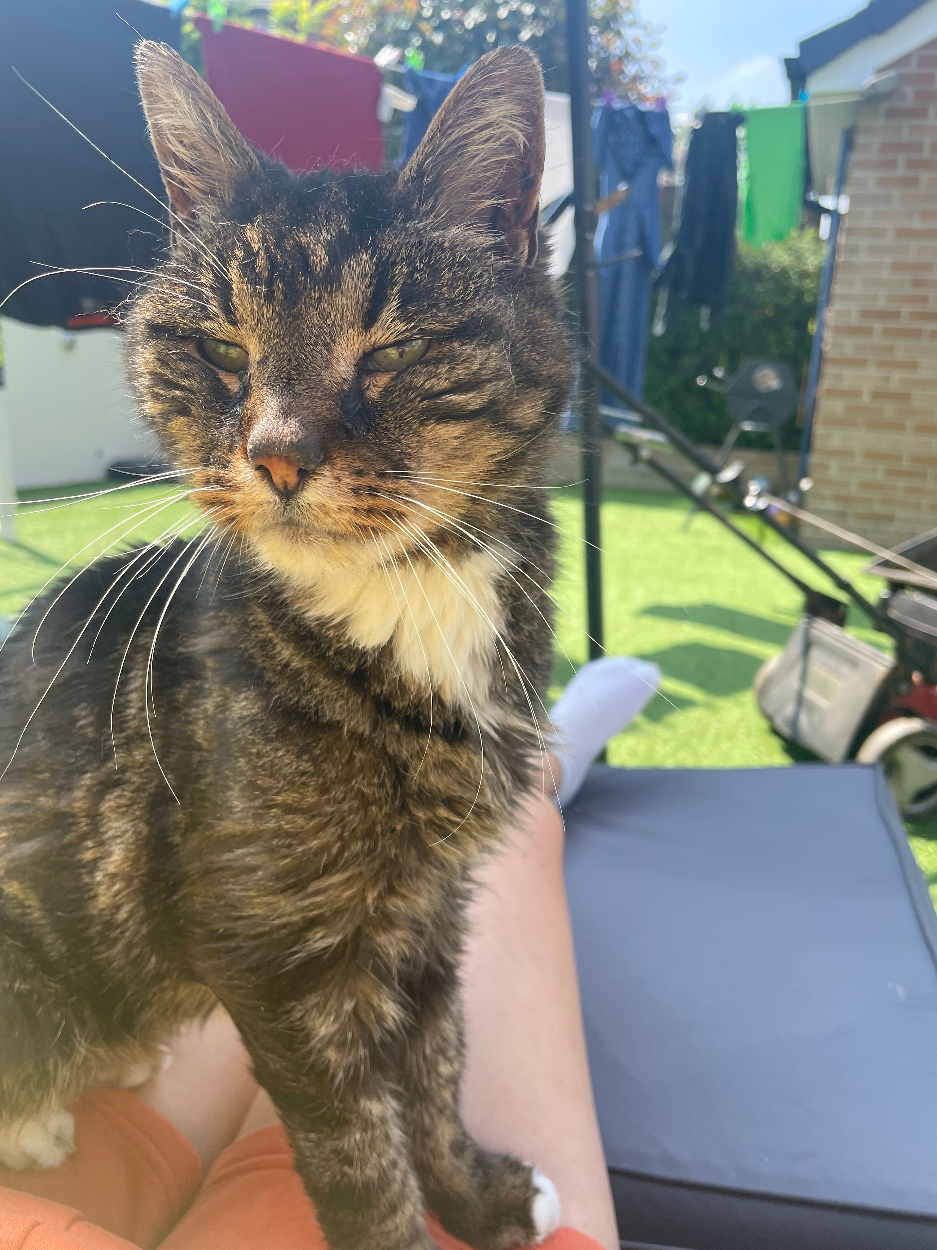 Crunchie - Manor View, Par