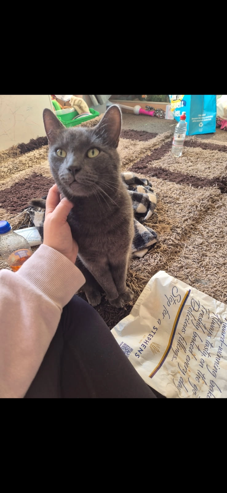 Dave  - Blackburn Avenue, Dunfermline