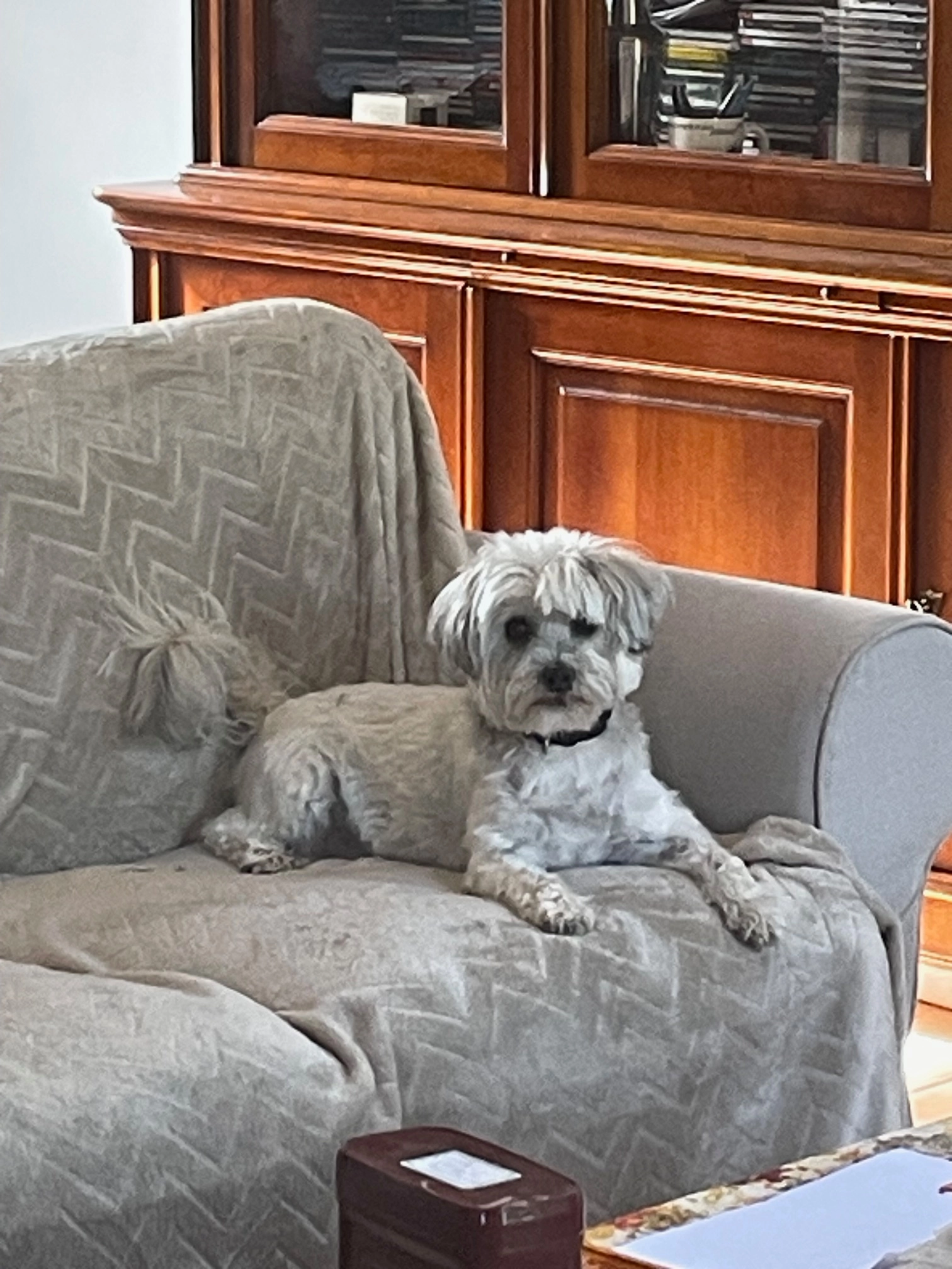 Gribouille - Rue Guy De Maupassant, Saint-Jean