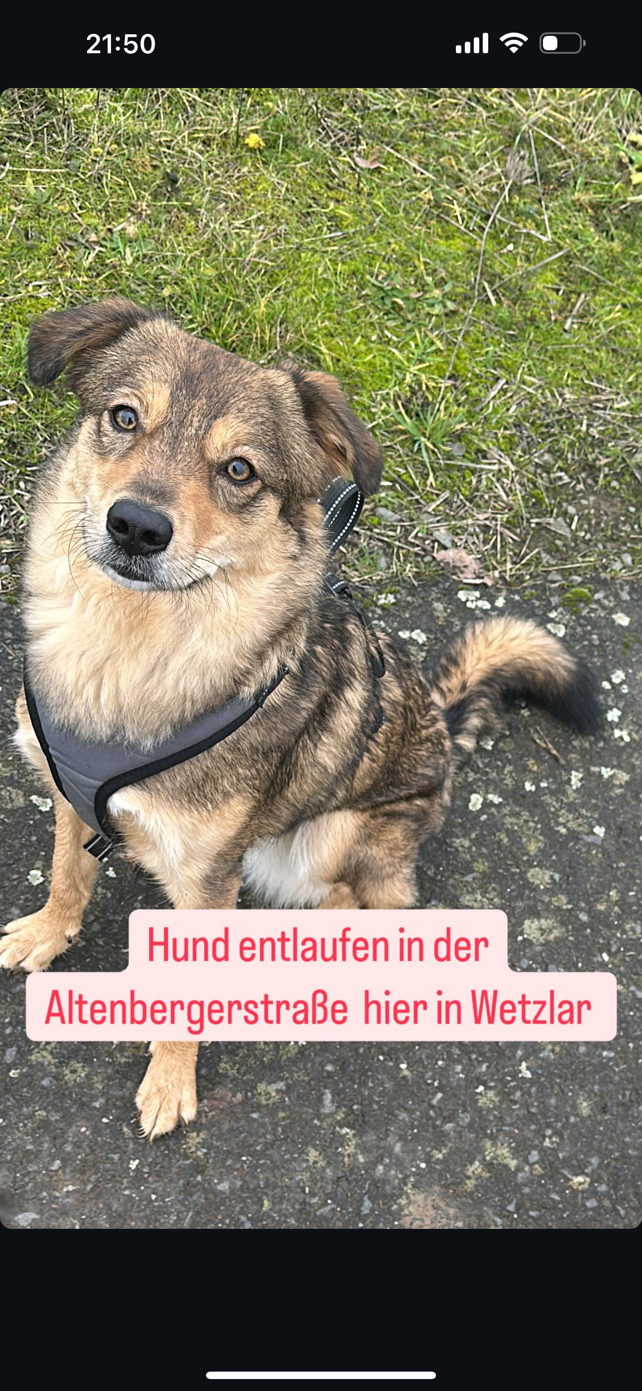 Elli - Altenberger Straße, Wetzlar