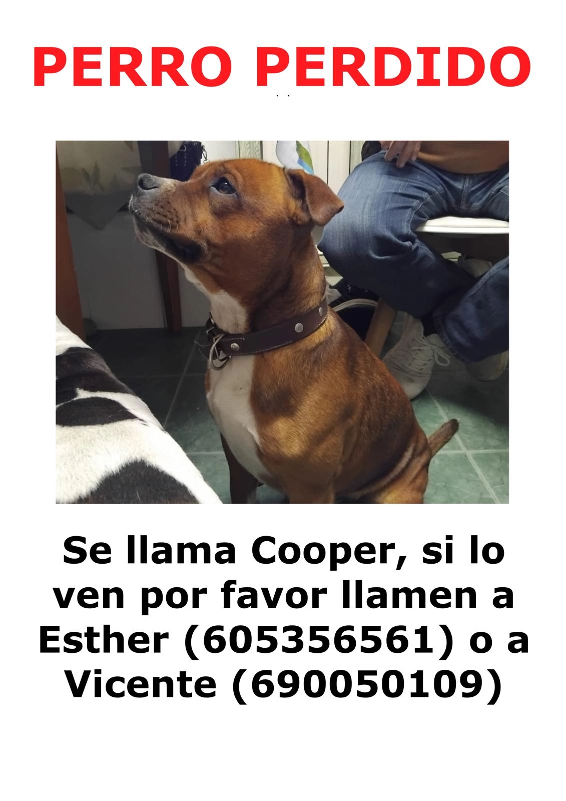 Cooper  - Calle Del Almendro, Illescas