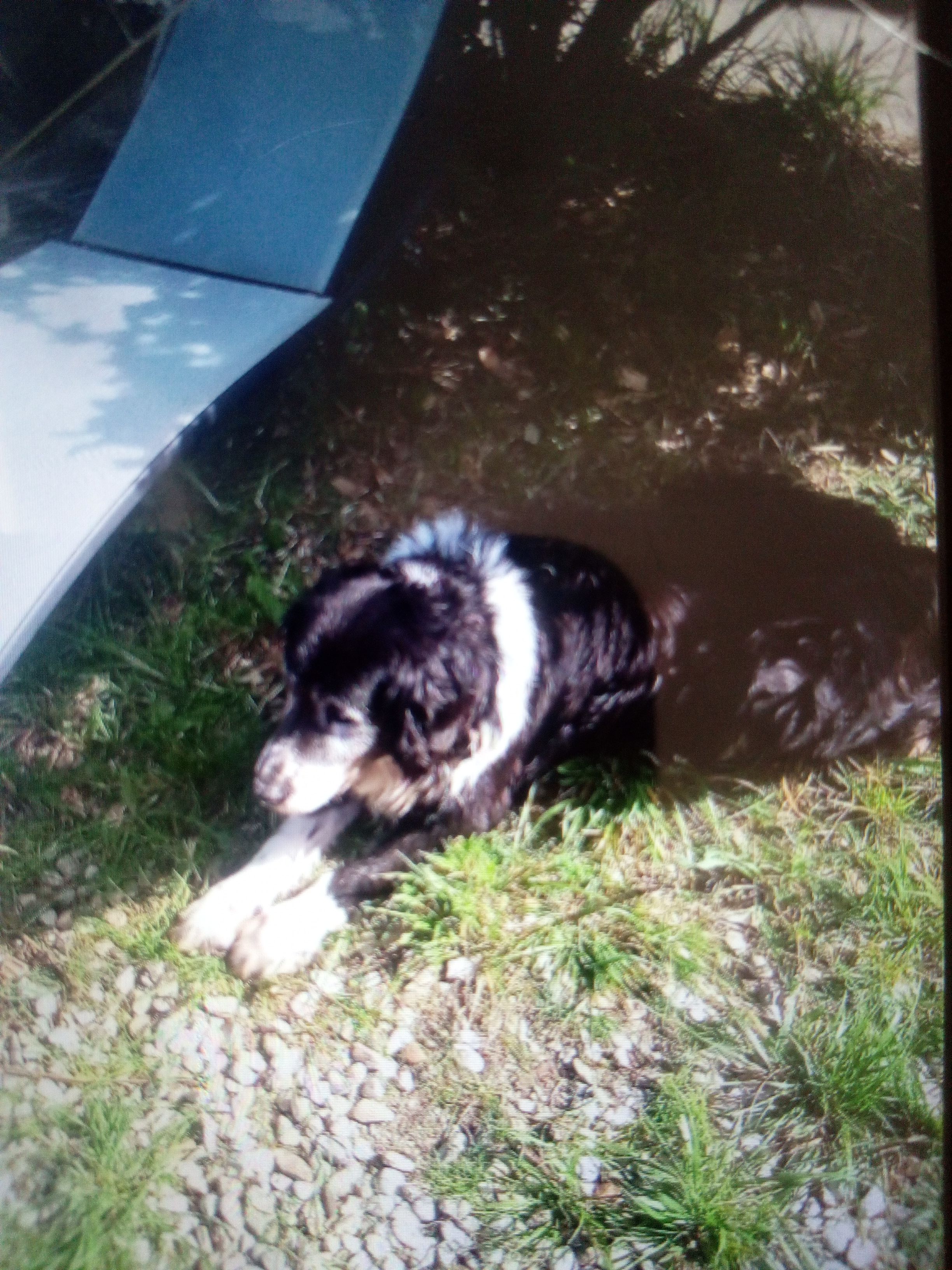 Bentane - Route Saint-Georges-d'Orques, Juvignac