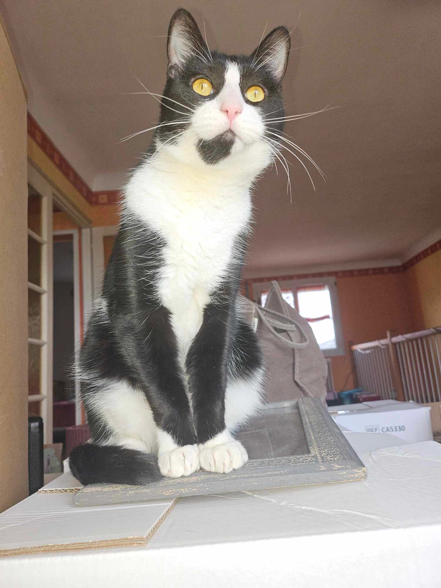 Patrick - 8 La Corbière, La Meilleraye-de-Bretagne