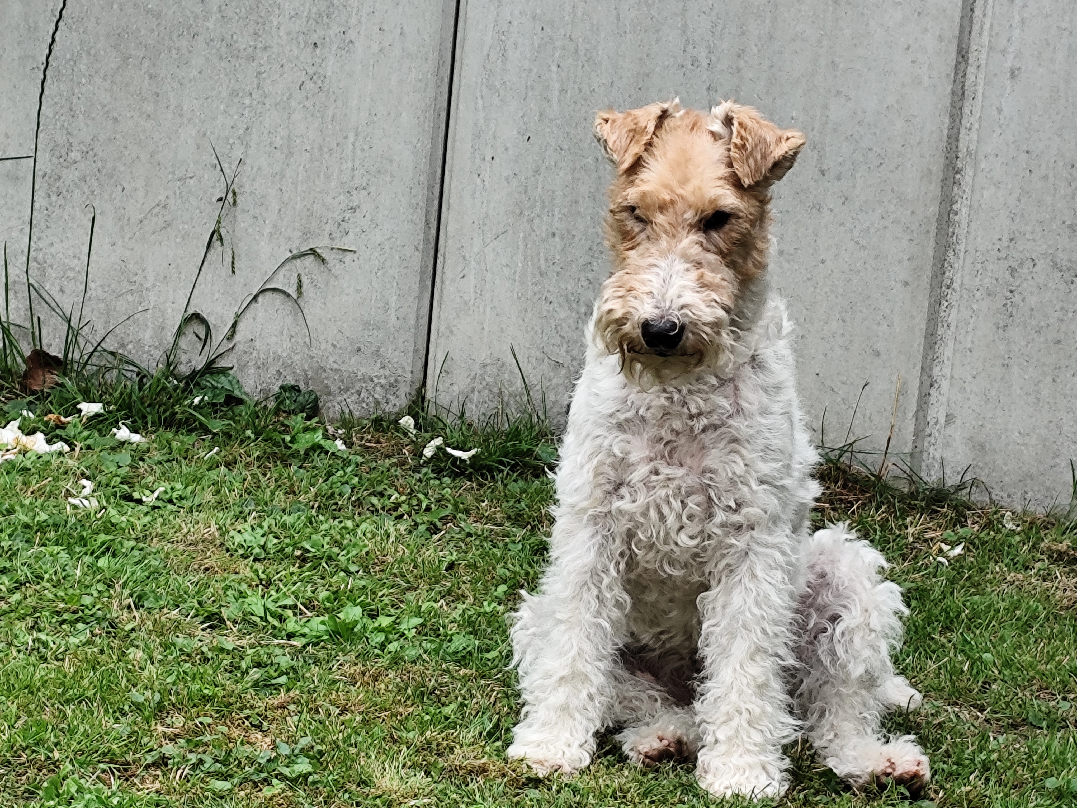 Nelly - St 2056, Dießen am Ammersee