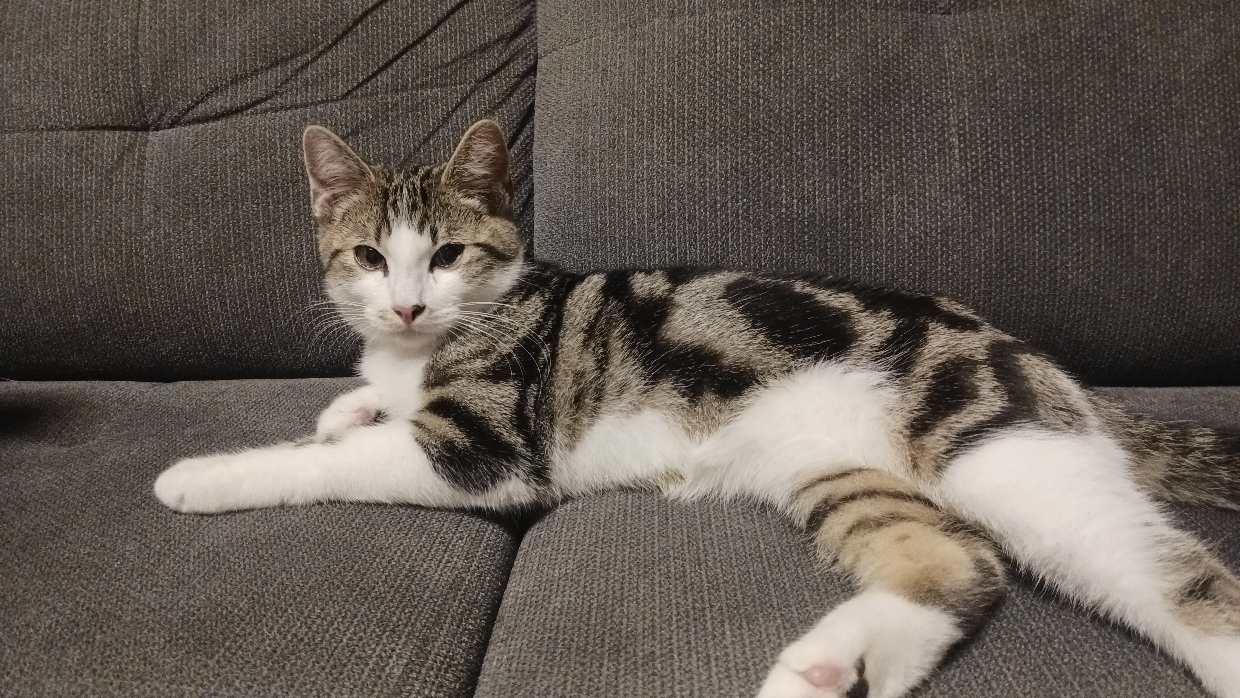 Leon - Früchte, Ahaus