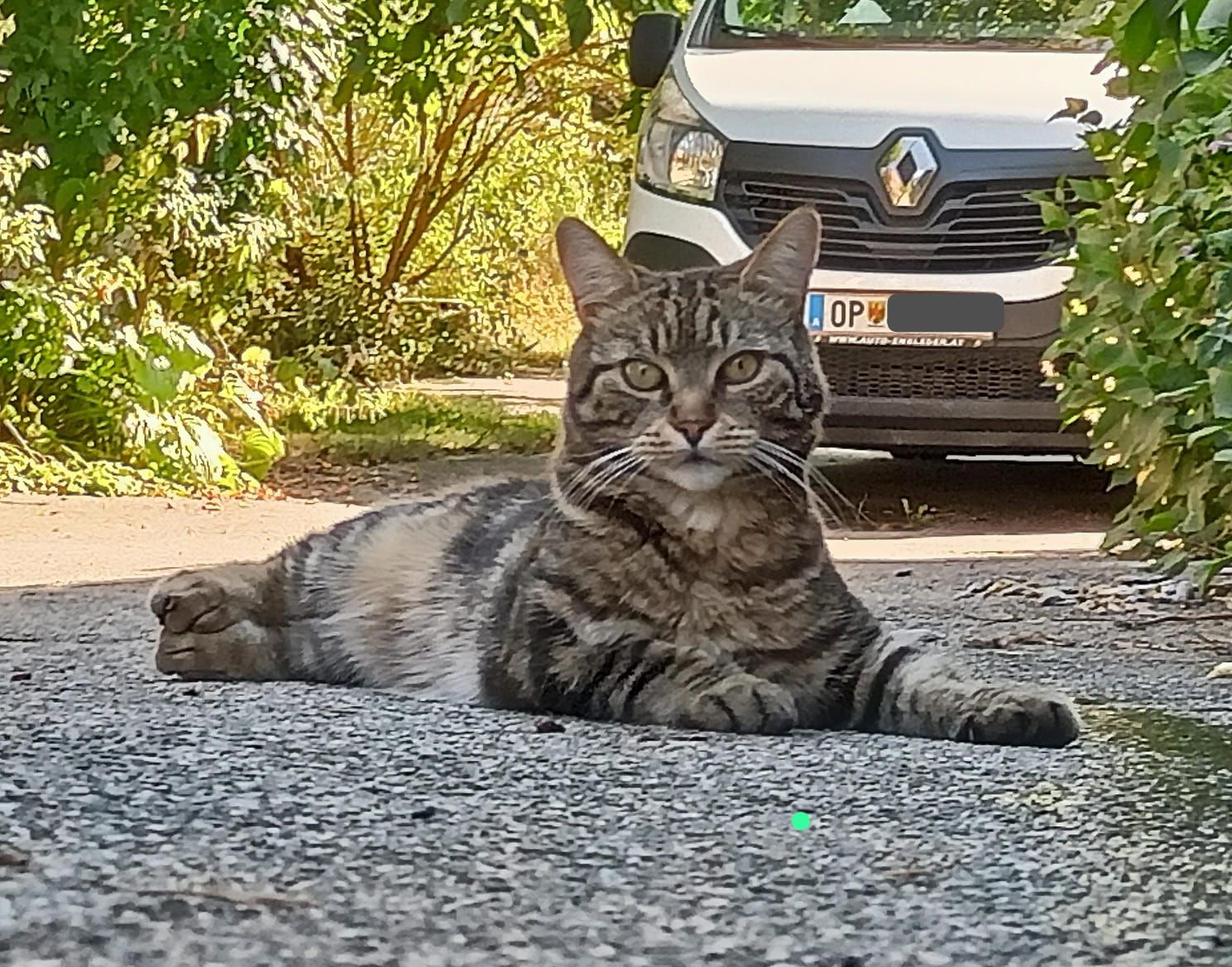 loki - Hauptstraße (Oberpetersdorf), Kobersdorf