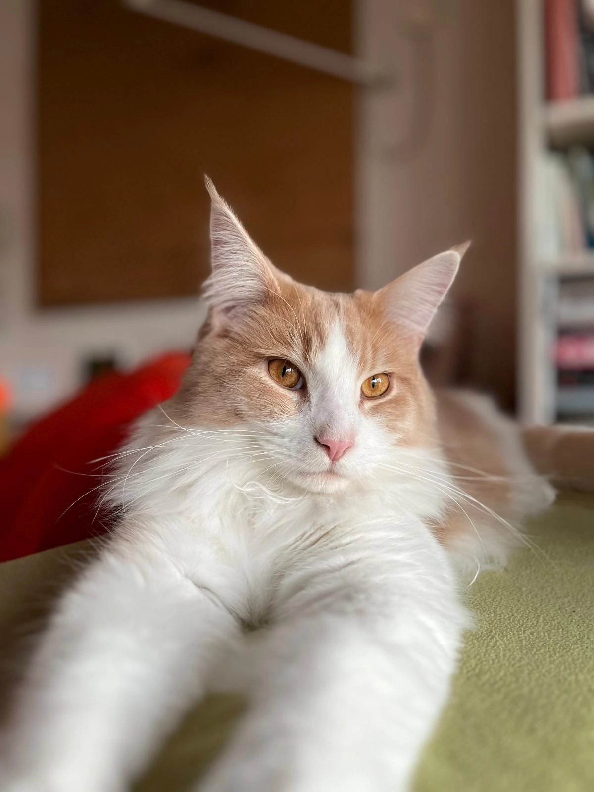 Hugo - Parkstraße, Haßloch