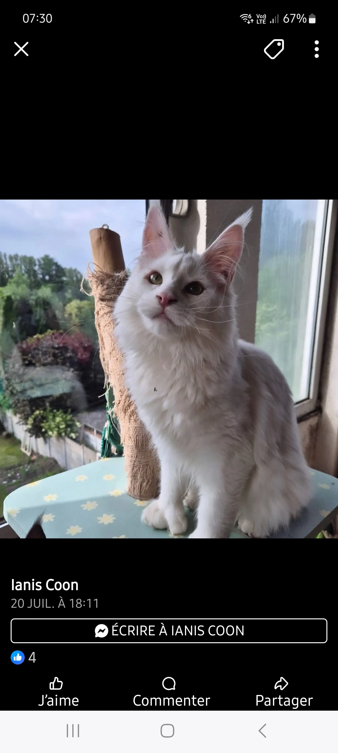 Zeu - Le Catelet, Caumont