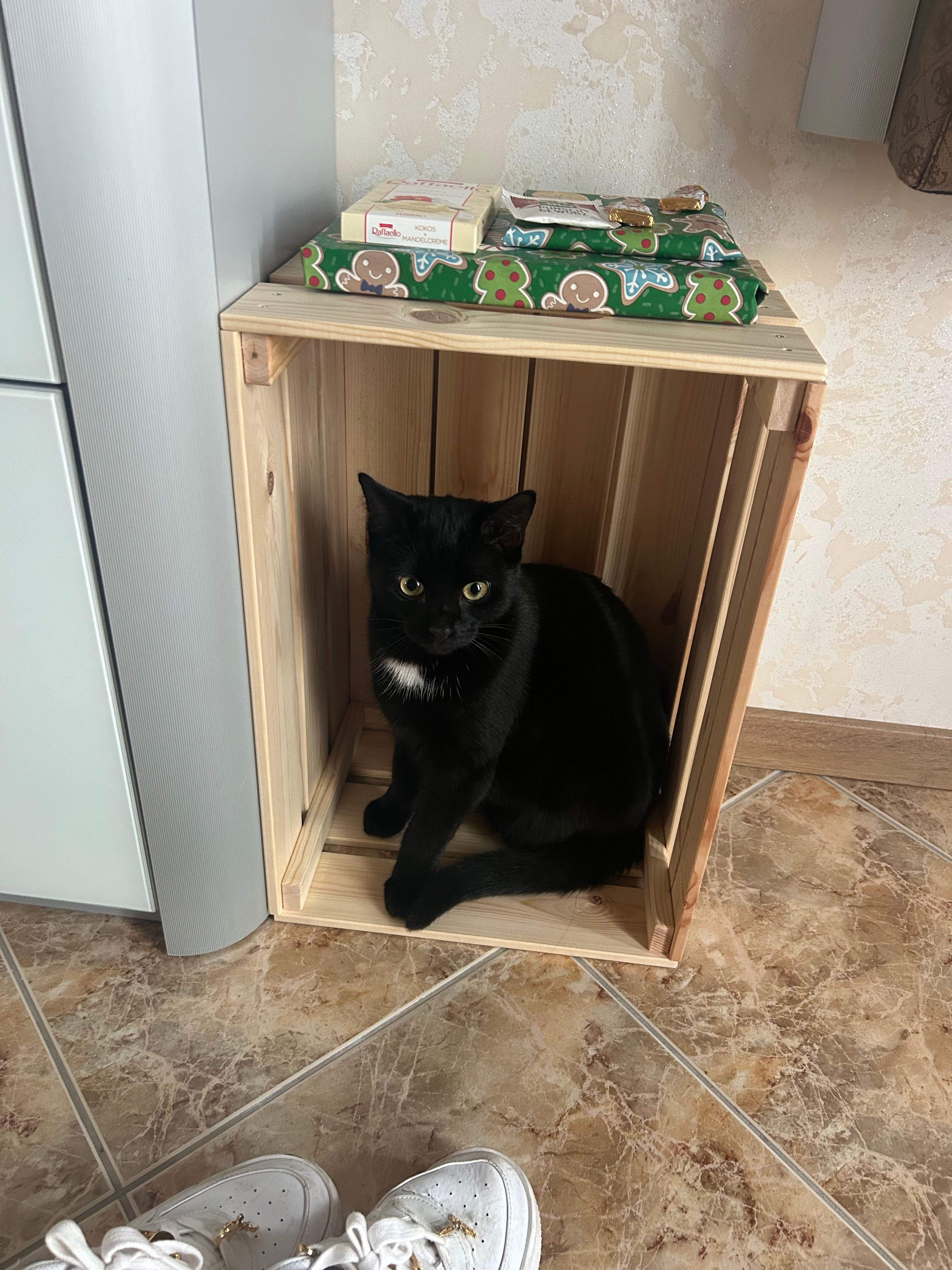 Diogo - Auf Dem Rotenacker, Allendorf