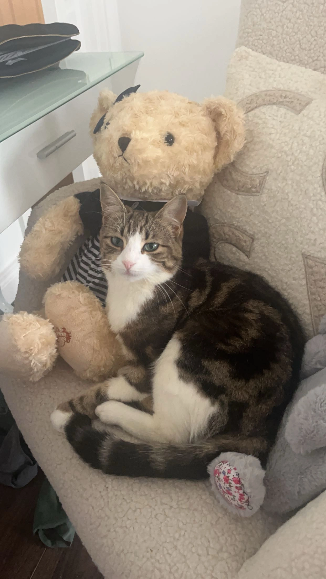 Lily - Clooncullen, Forgney