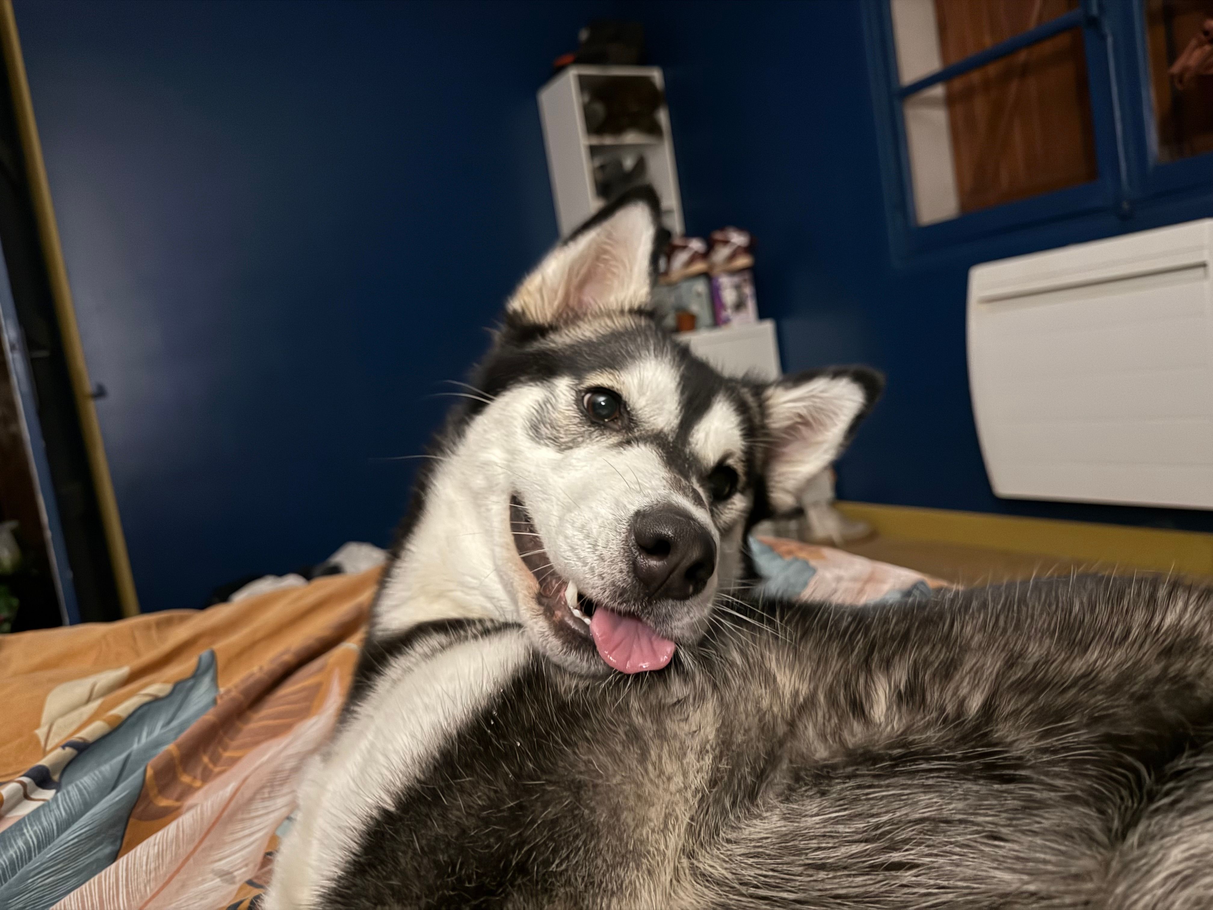 Hati - 13 Rue de Gapennes, Yvrencheux