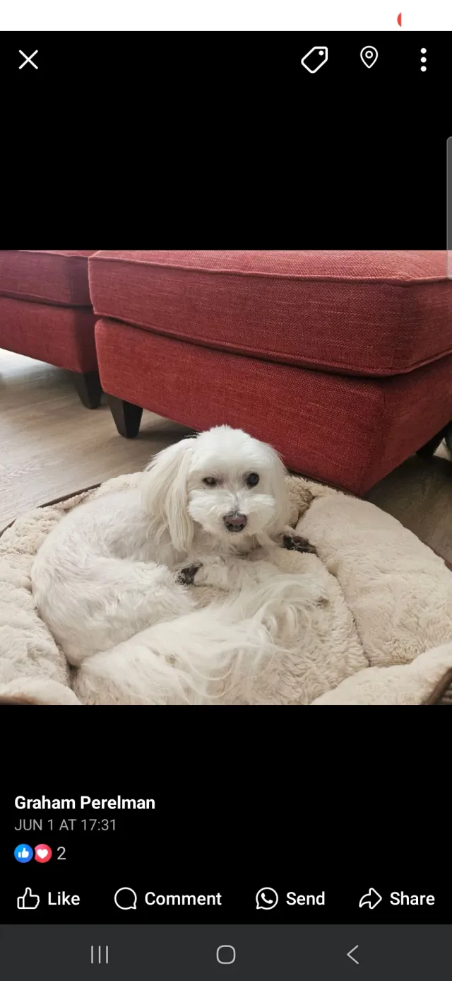 Lulu - 10485 NW 11th Ct, Plantation