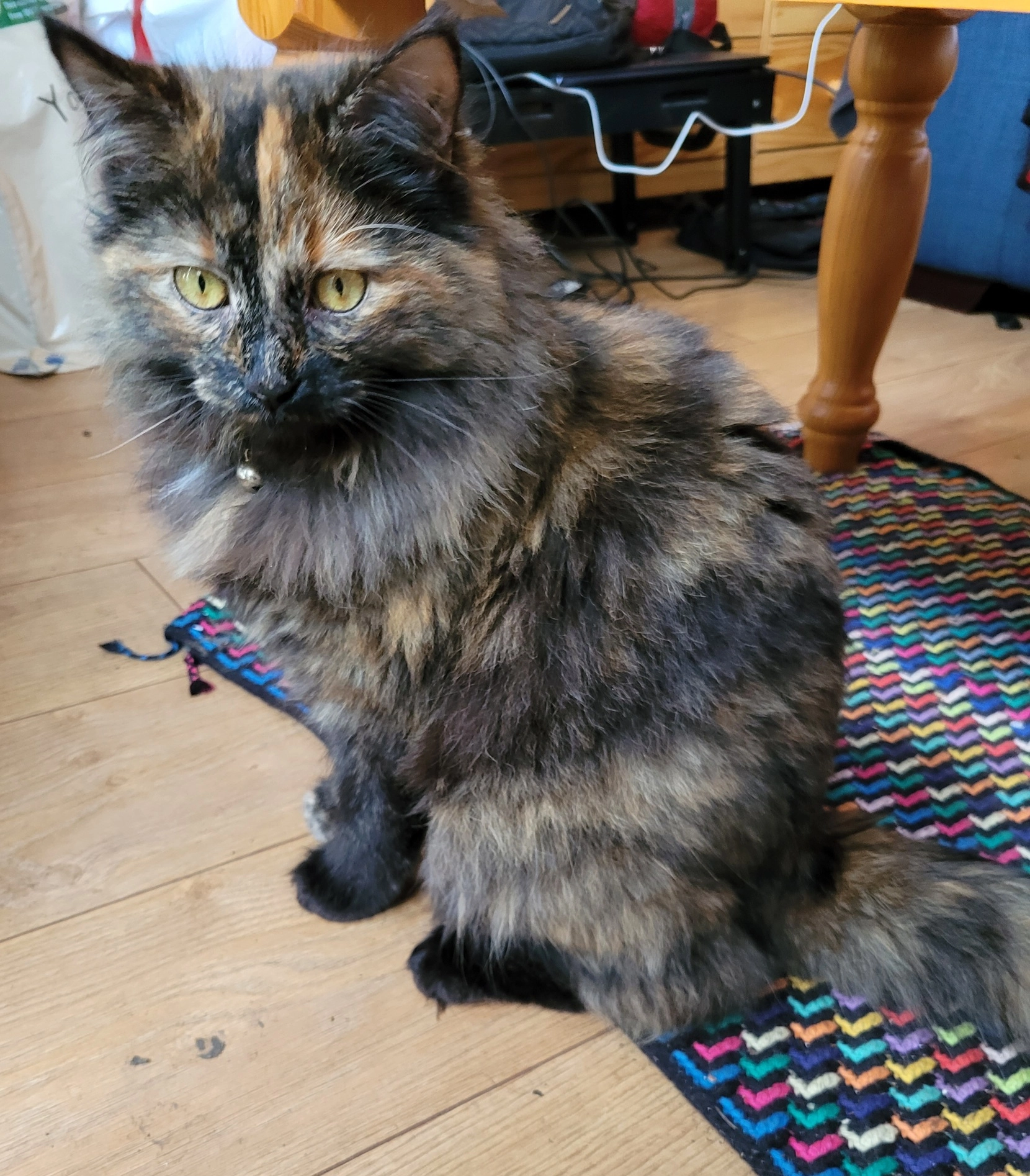 Smudge - Dalkey Avenue, Dun Laoghaire